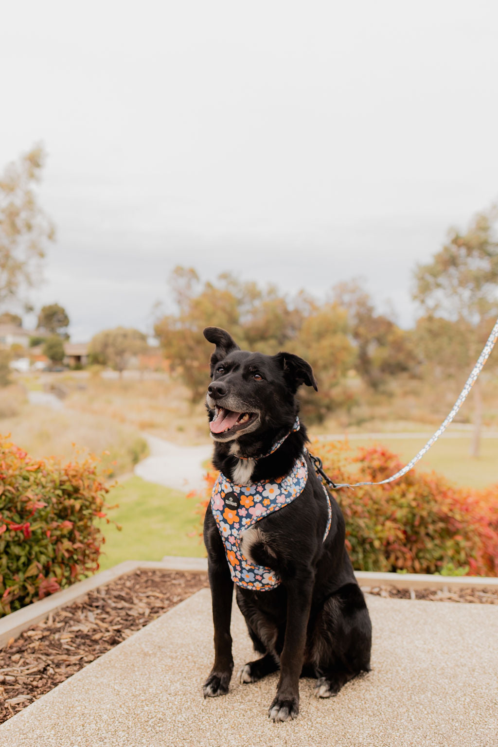 Blue Spring Floral Adjustable Harness