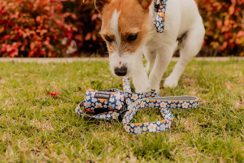 Blue Spring Floral Poop Bag Holder