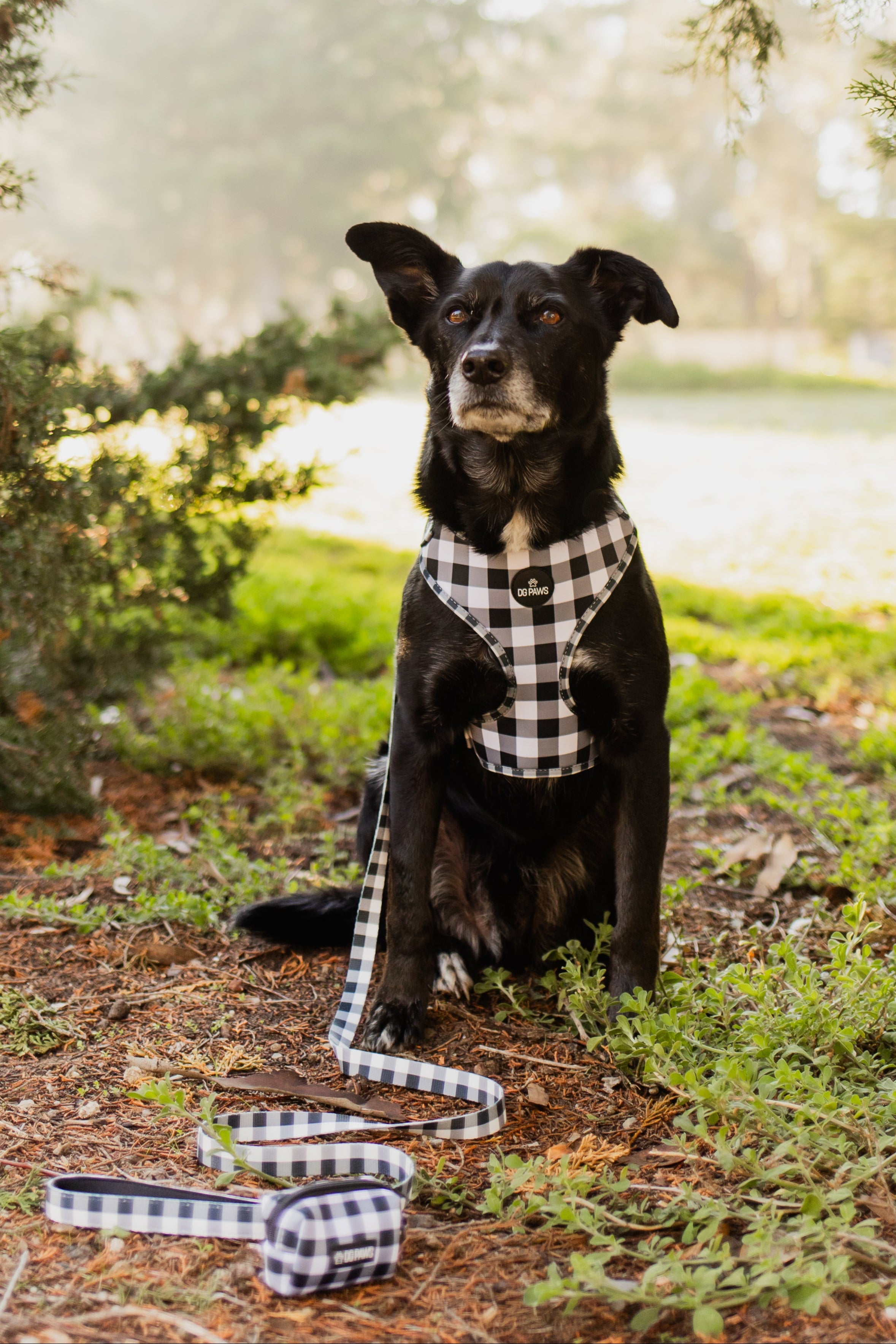 Black & White Gingham Dog Lead