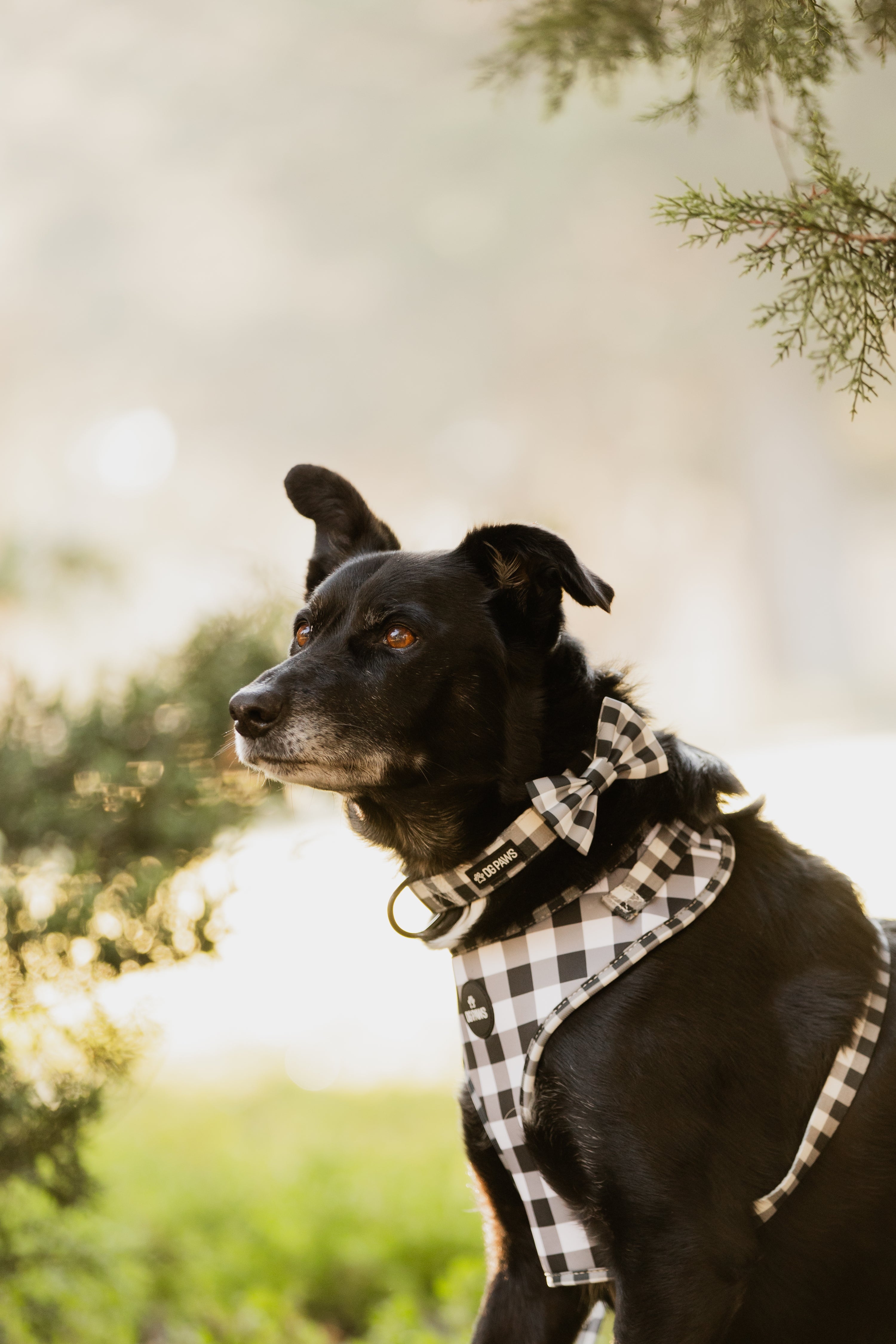 Black and White Gingham Bow Tie