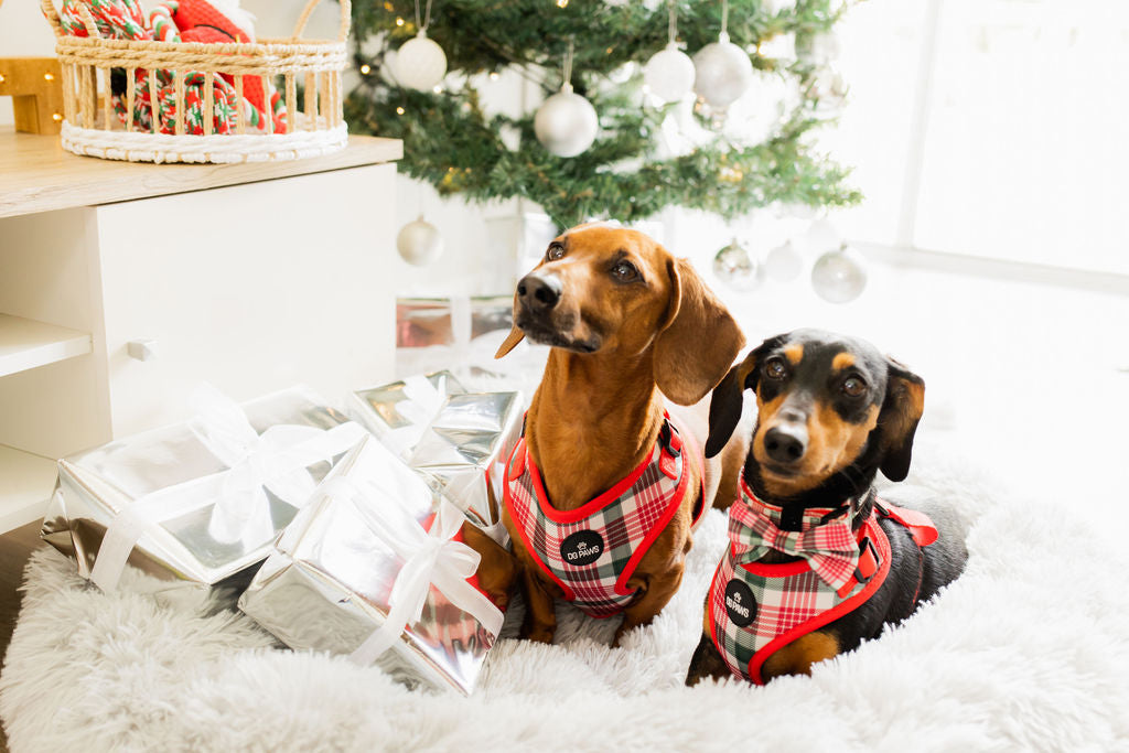 Red & Green Tartan Dog Harness
