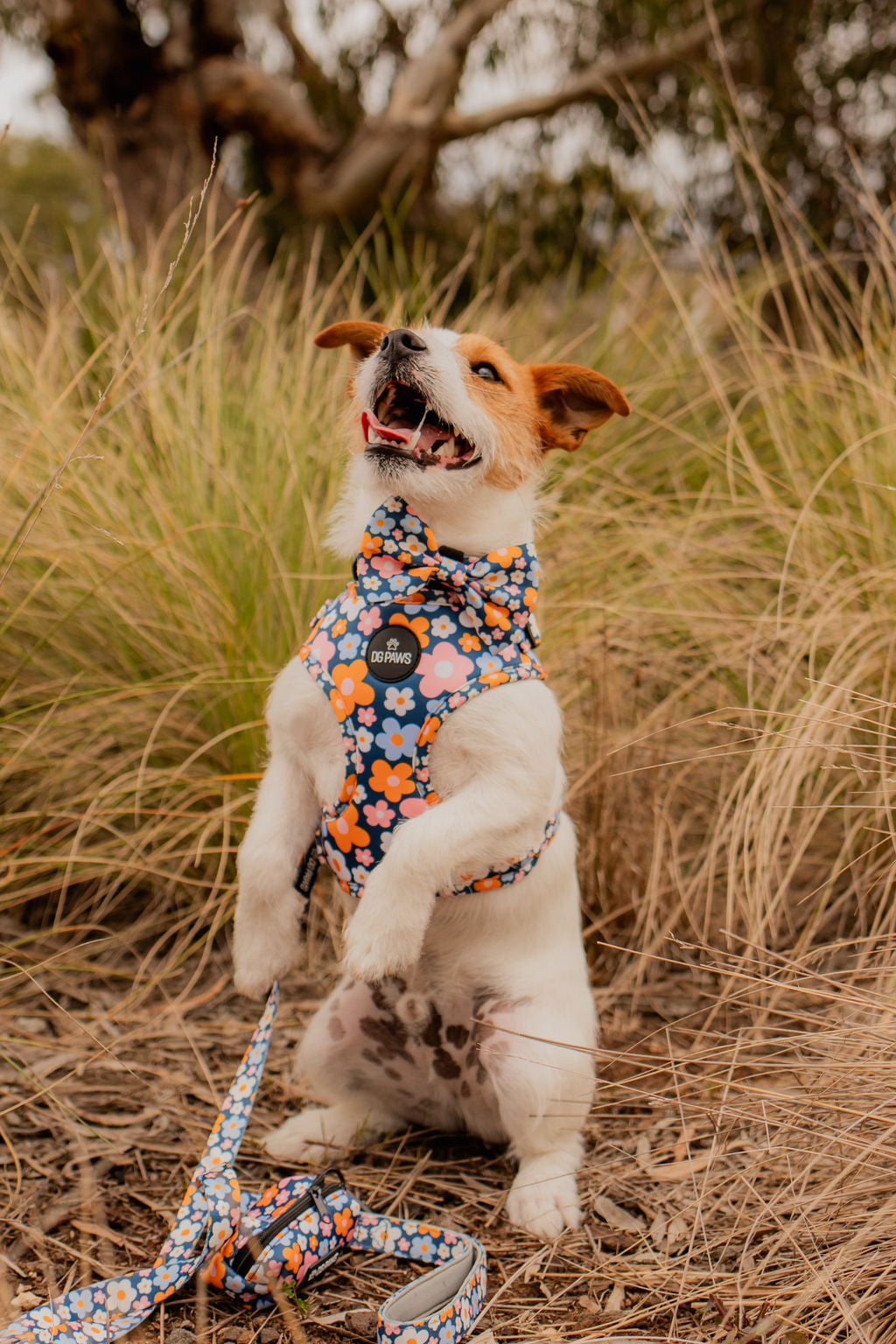 Blue Spring Floral Adjustable Harness