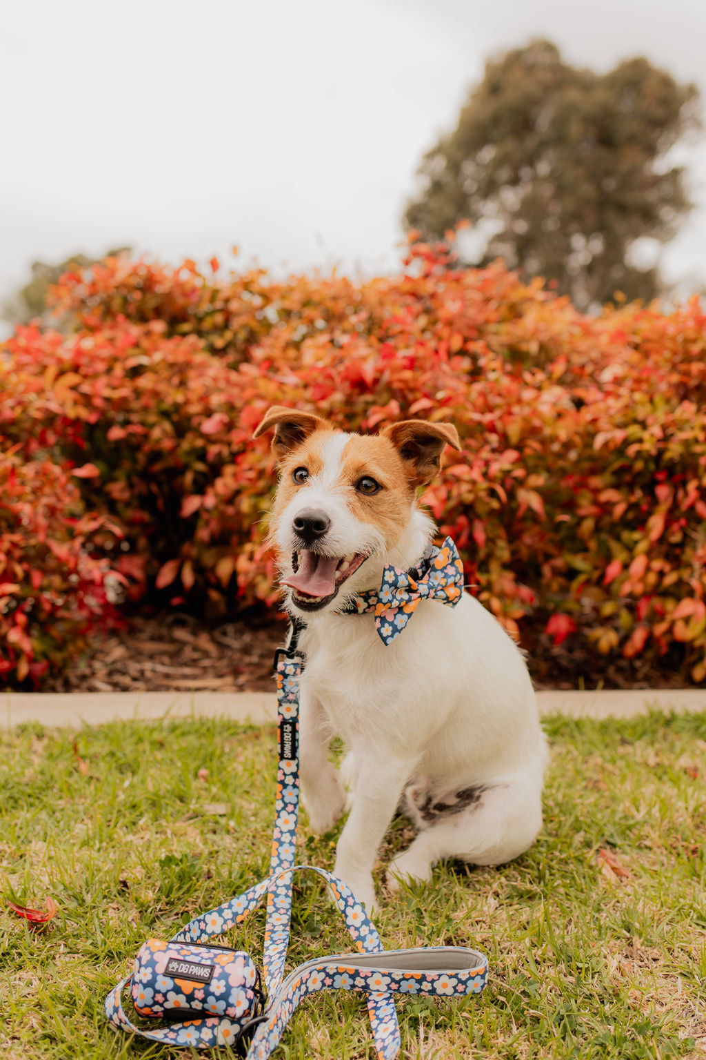 Blue Spring Floral Collar
