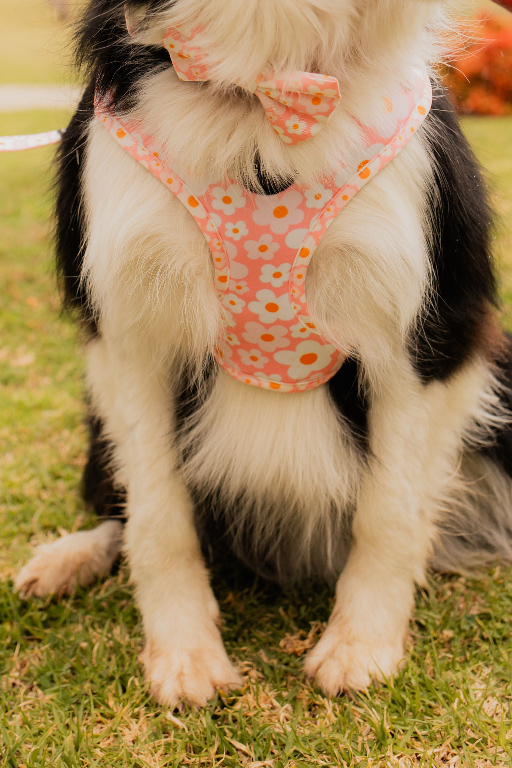 Pink Spring Floral Adjustable Harness