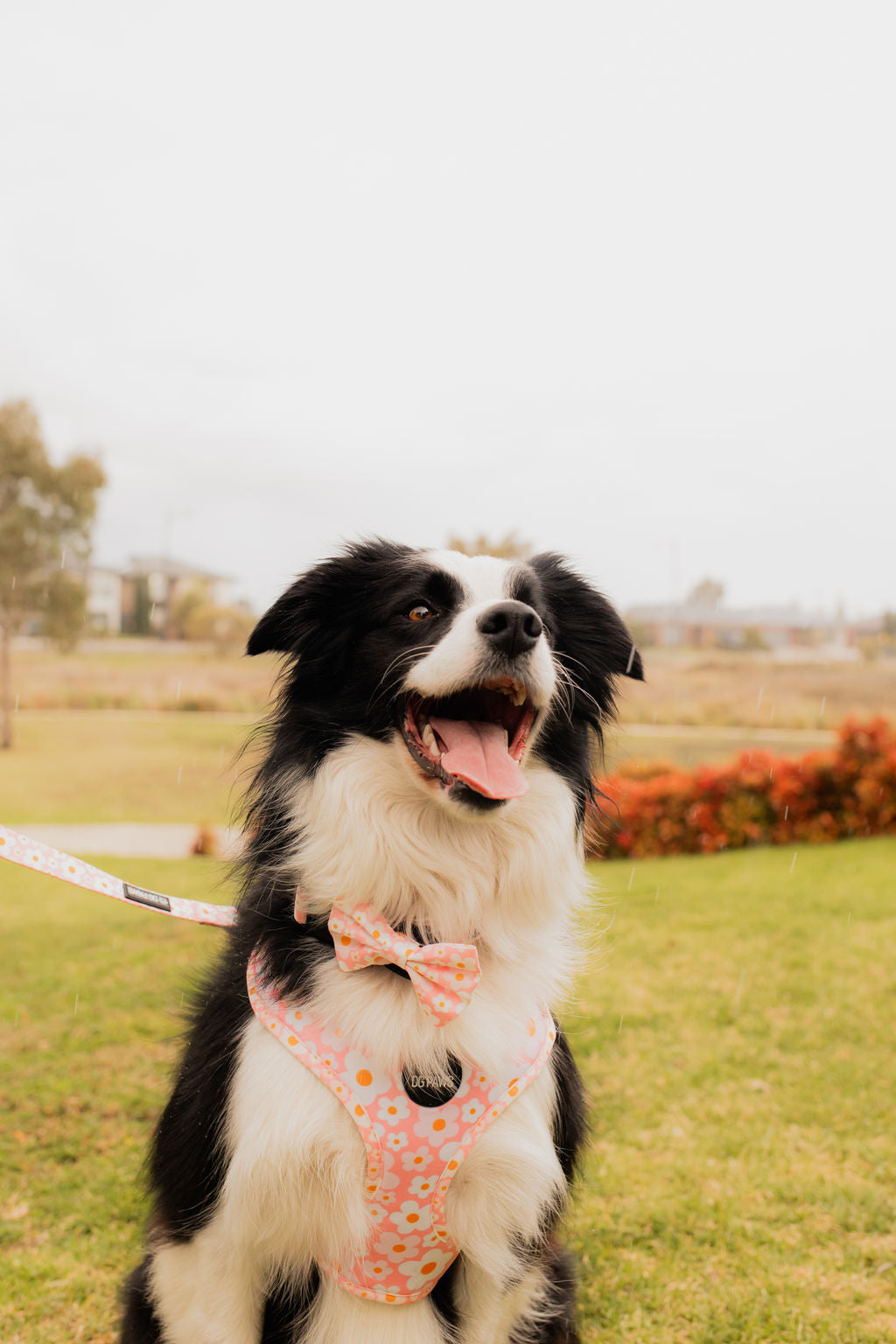 Pink Spring Floral Adjustable Harness