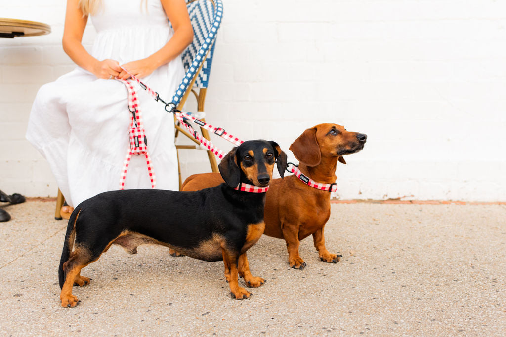 Luna Dog Leash Splitter