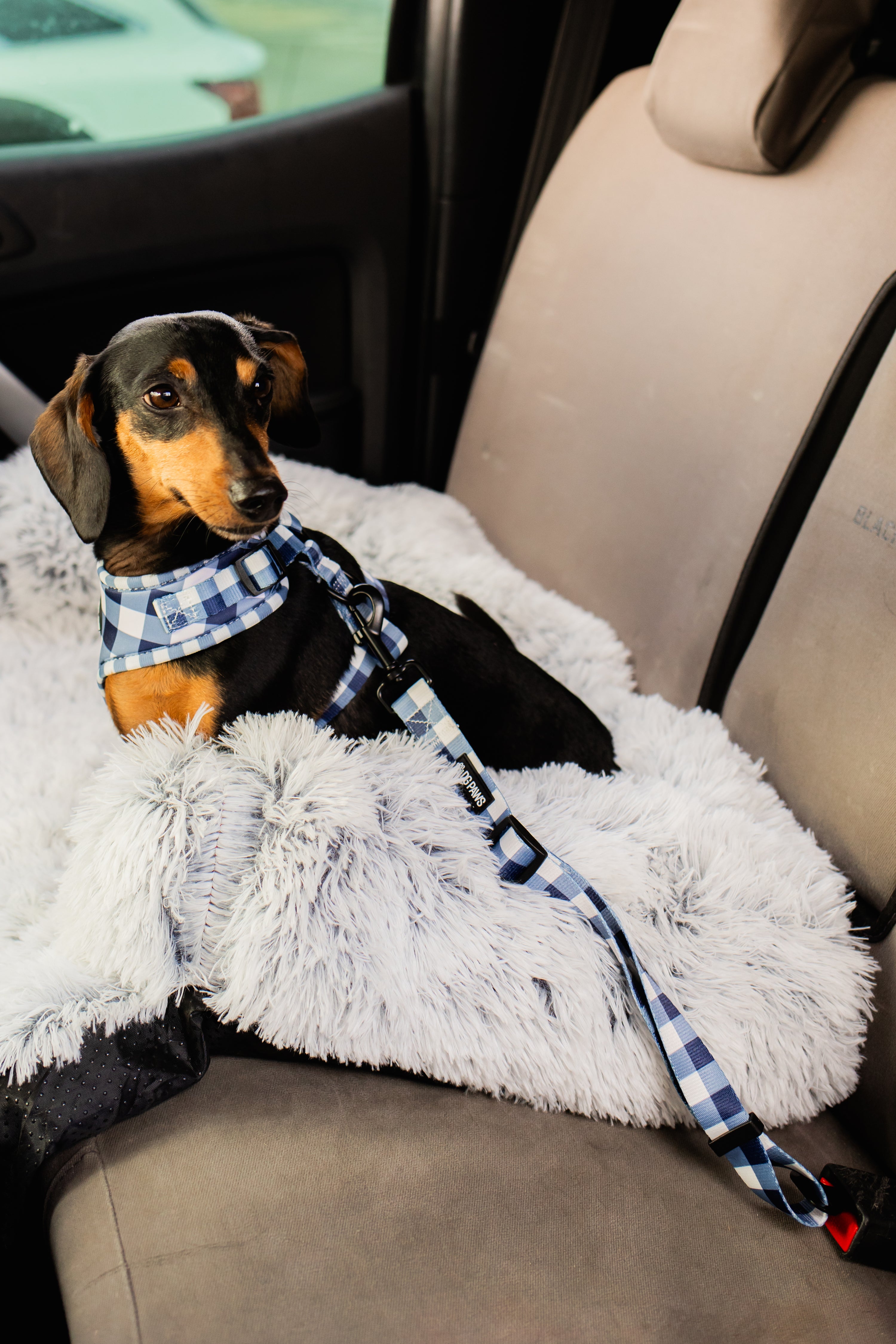 Captain Adjustable Car Restraint