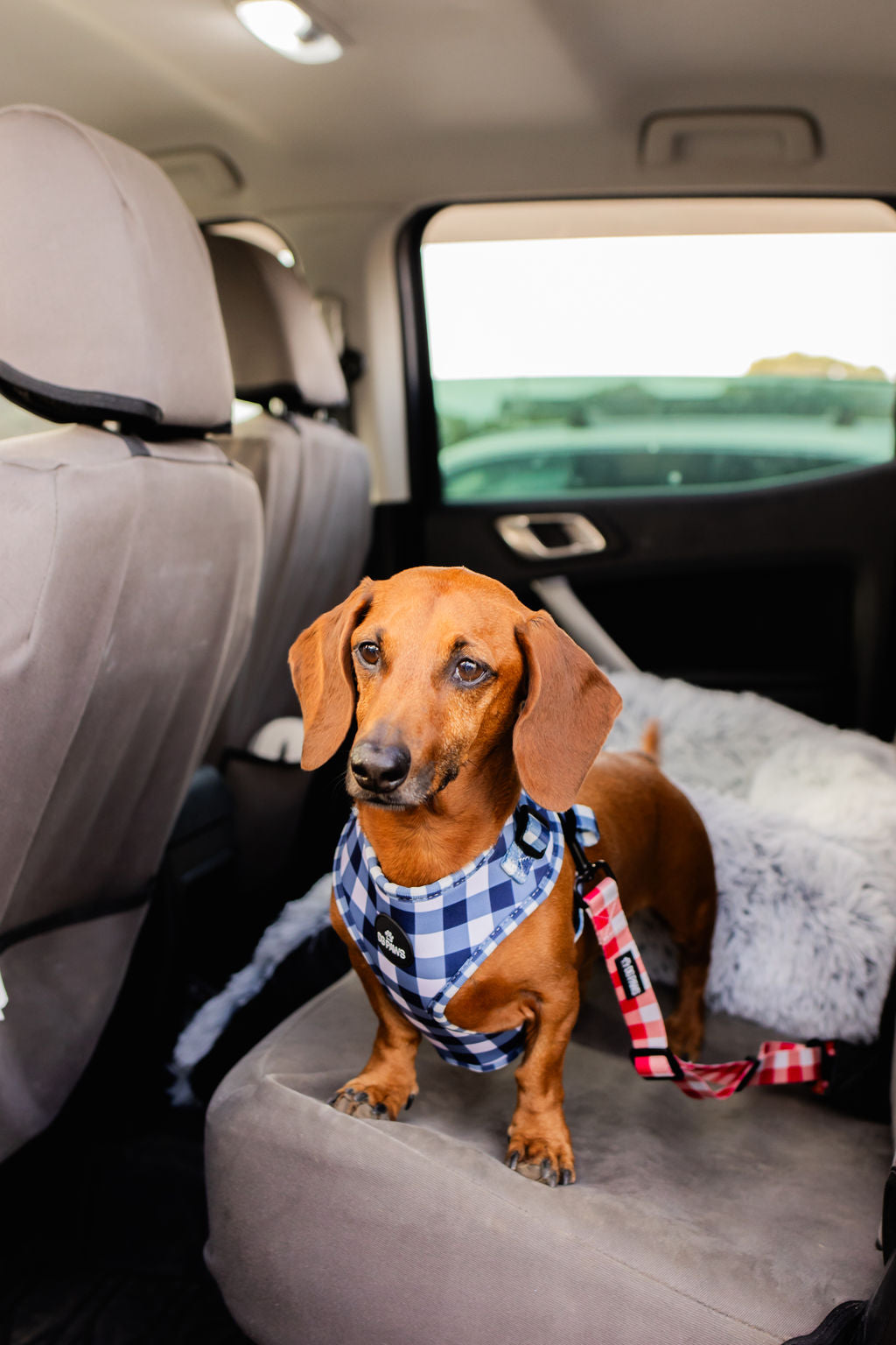 Luna Adjustable Car Restraint