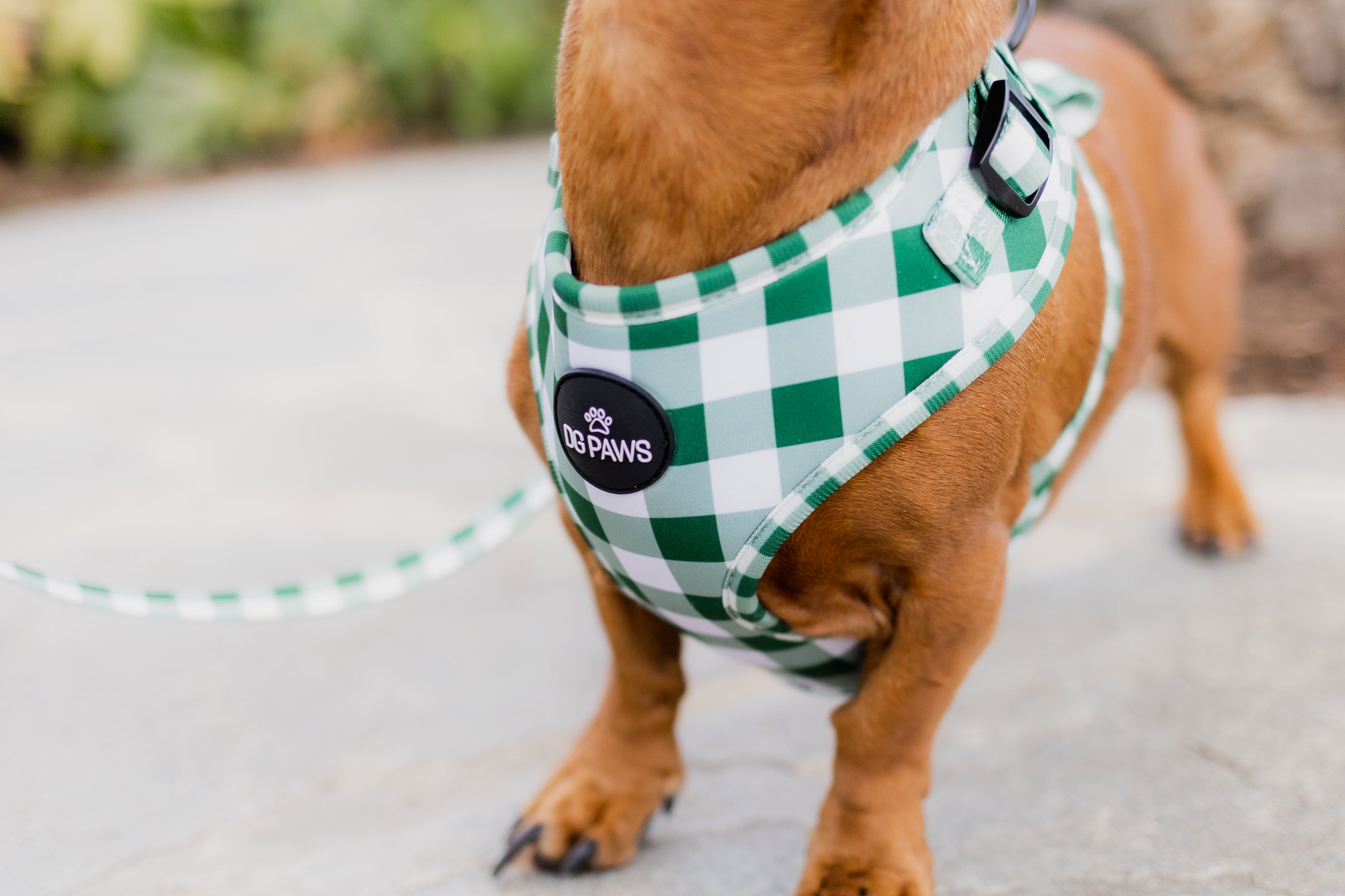 Hunter Dog Harness