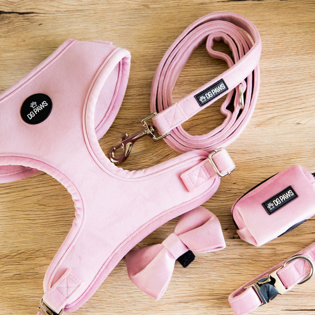 Pink Velvet Dog Lead