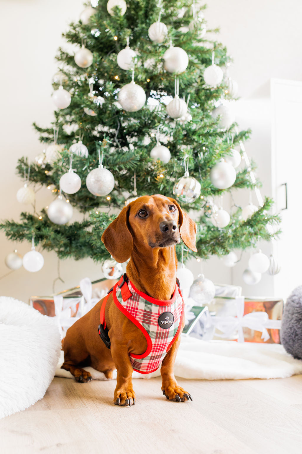 Red & Green Tartan Dog Harness