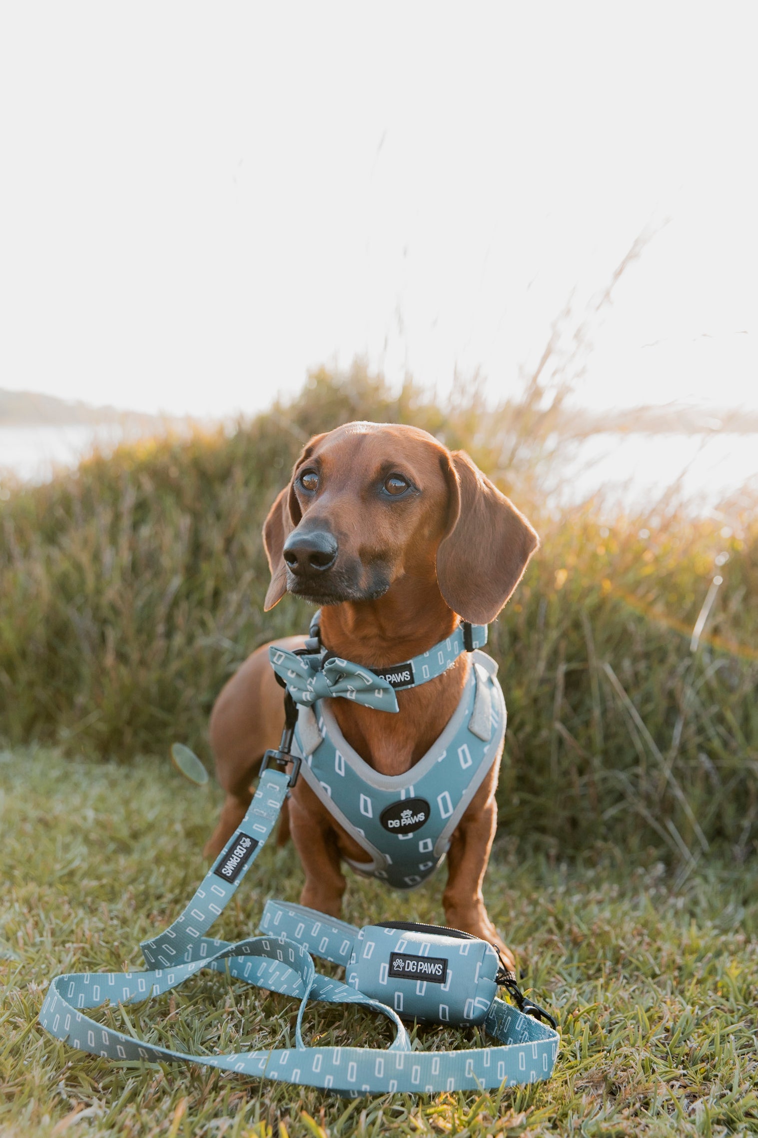 Hugo Poop Bag Holder