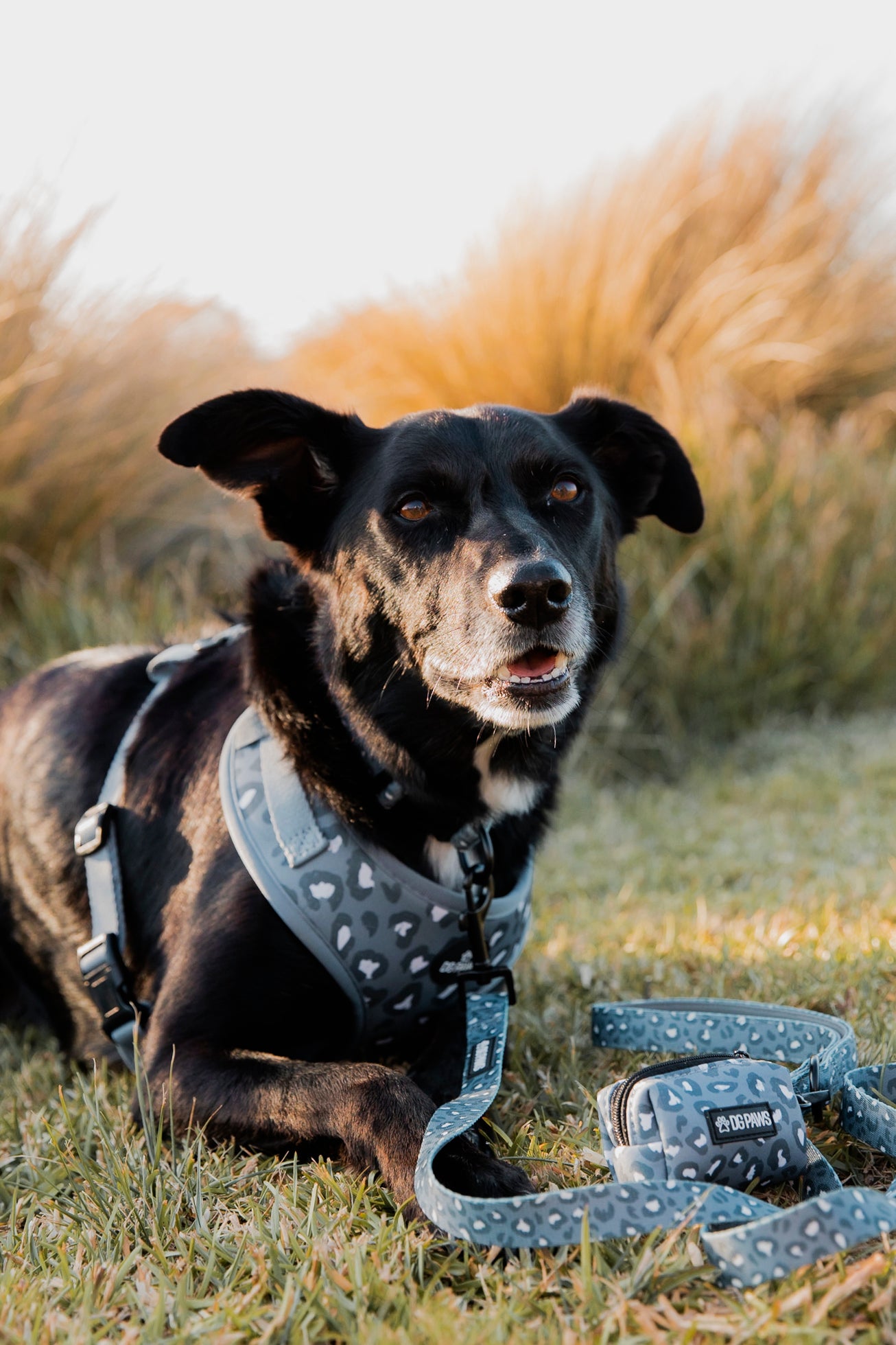Flynn Poop Bag Holder