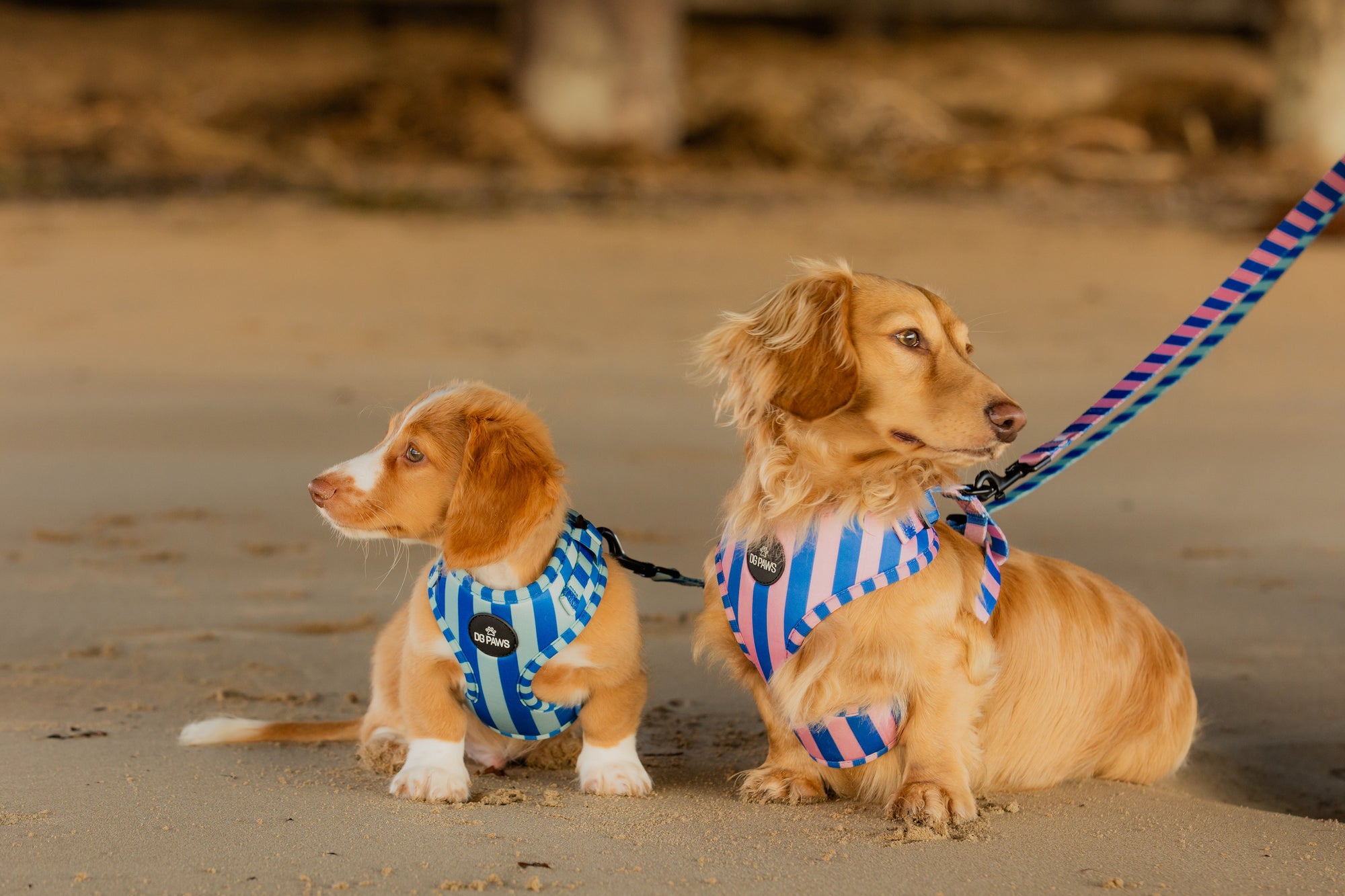 COASTAL & CANDY STRIPE COLLECTION 🍭🌊