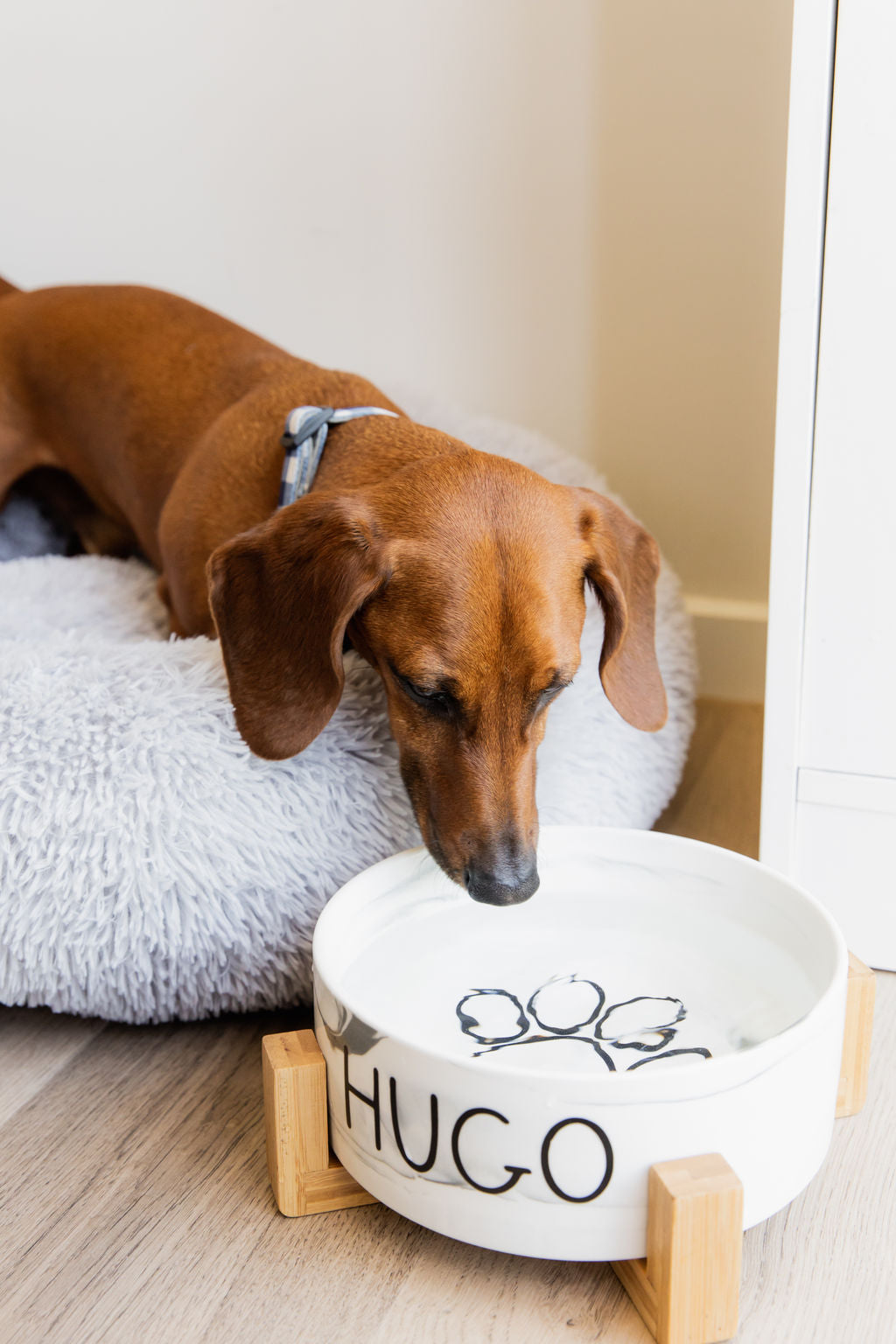 Personalised Ceramic Dog Bowl with Wooden Support