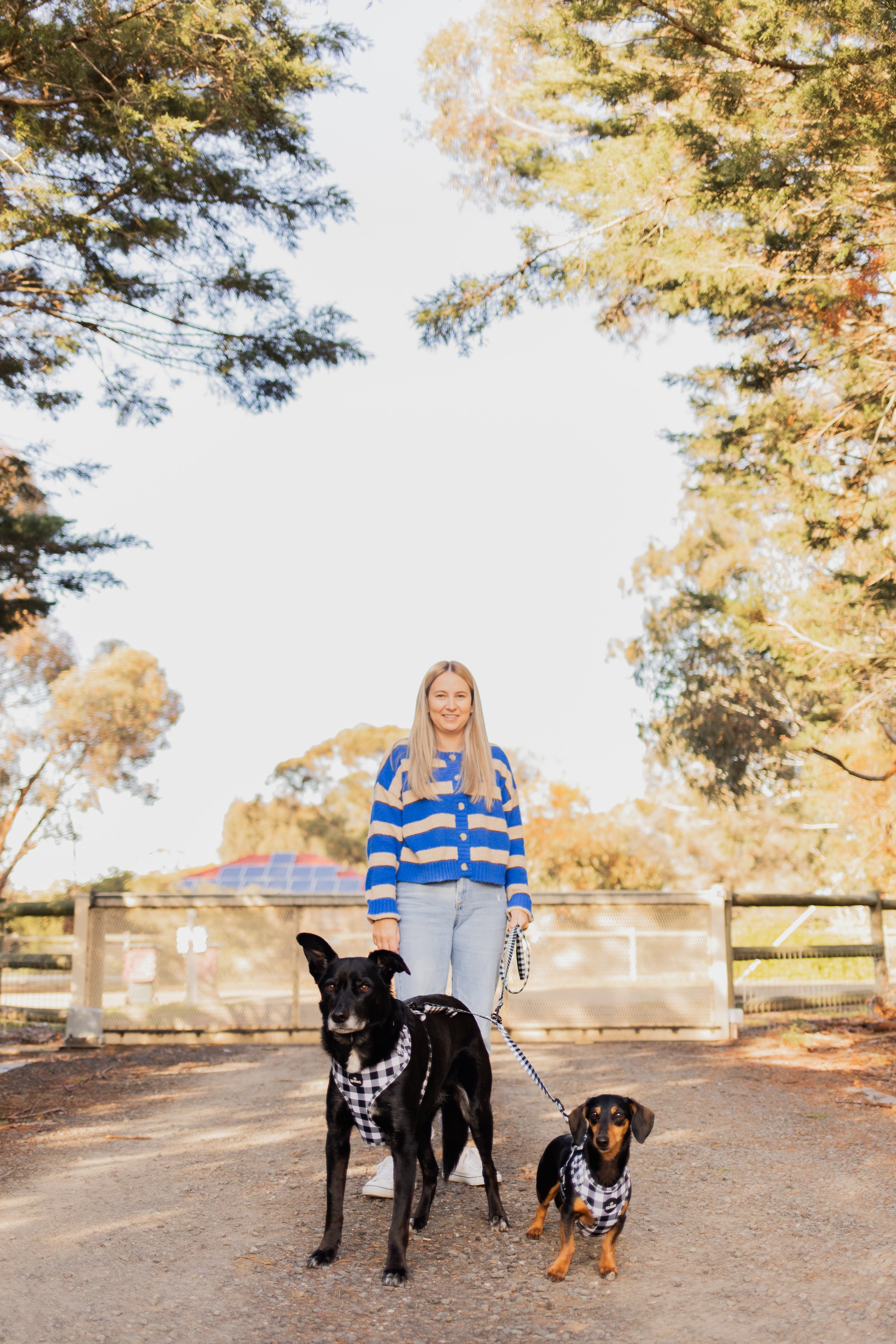 Black & White Gingham Two Dog Walking Bundle