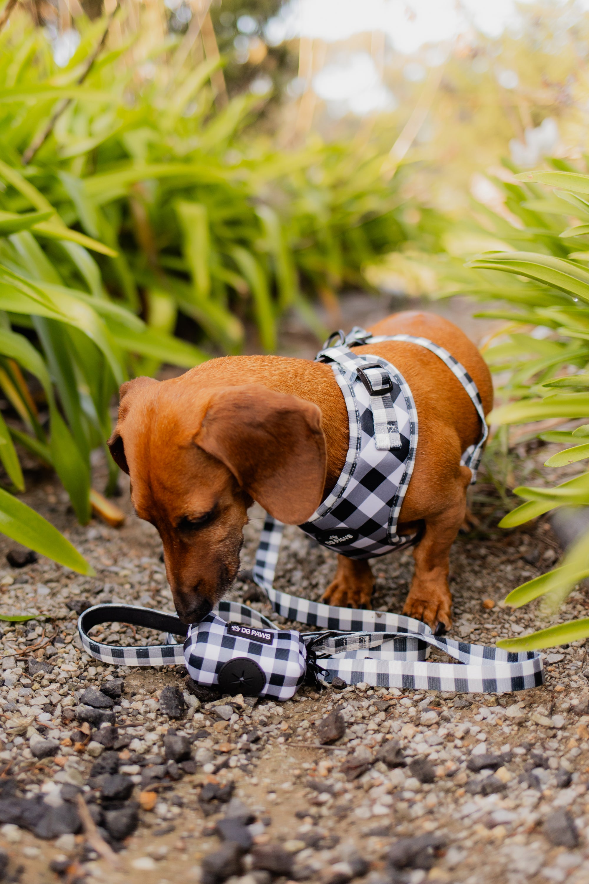 Black and White Poop Bag Holder