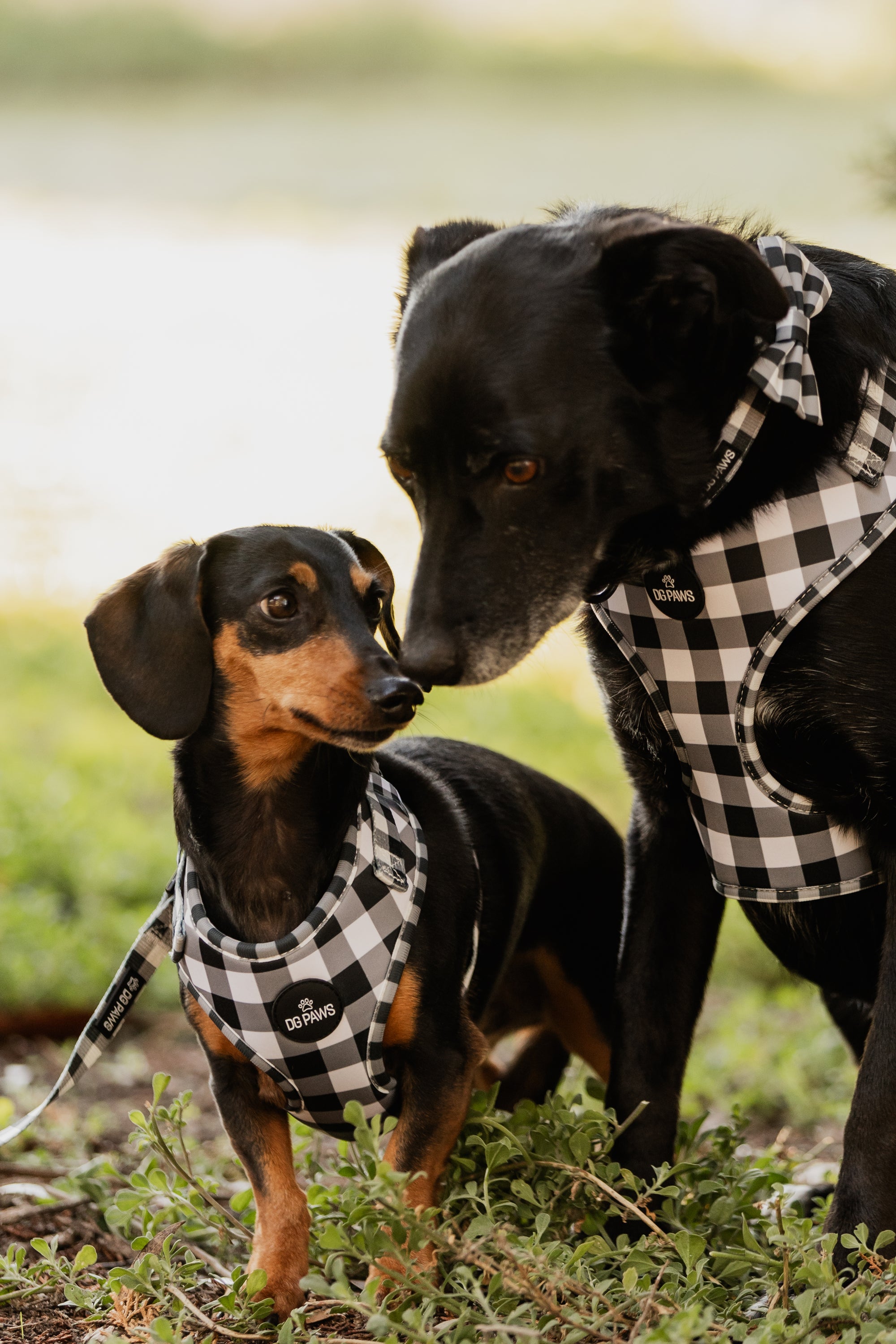 Black & White Gingham Bundle
