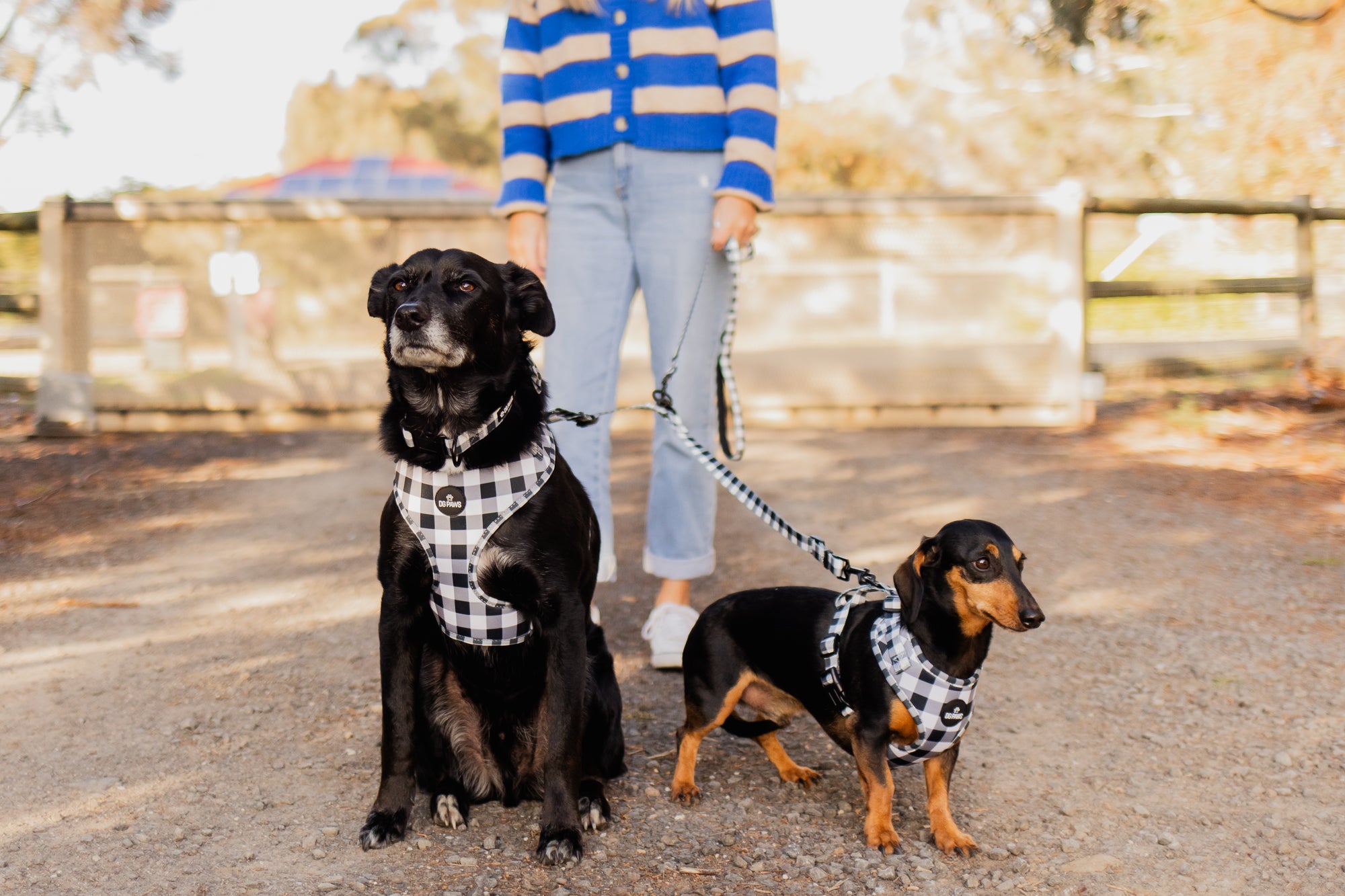 Black & White Gingham Two Dog Walking Bundle