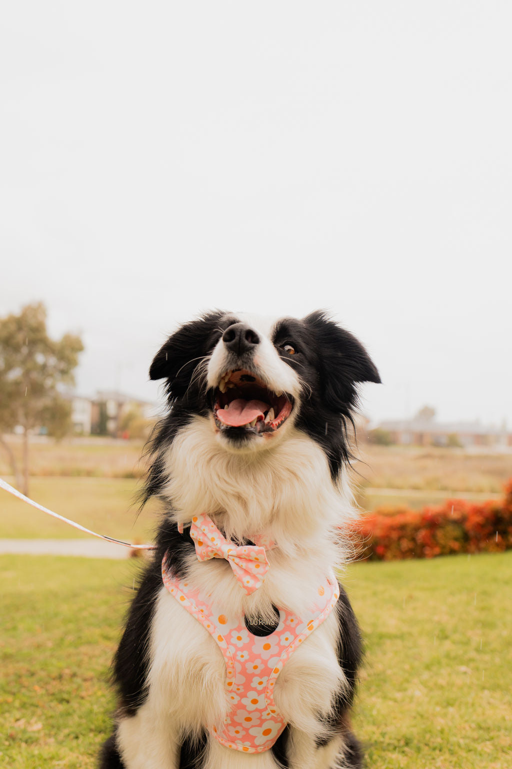 Pink Spring Floral Bow Tie