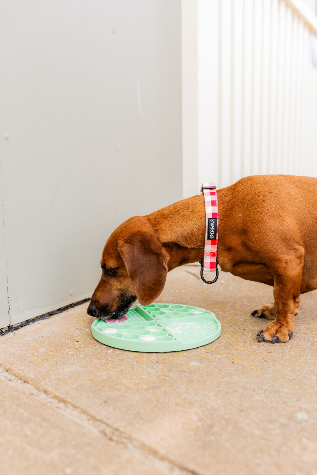 Pet Lick Mat