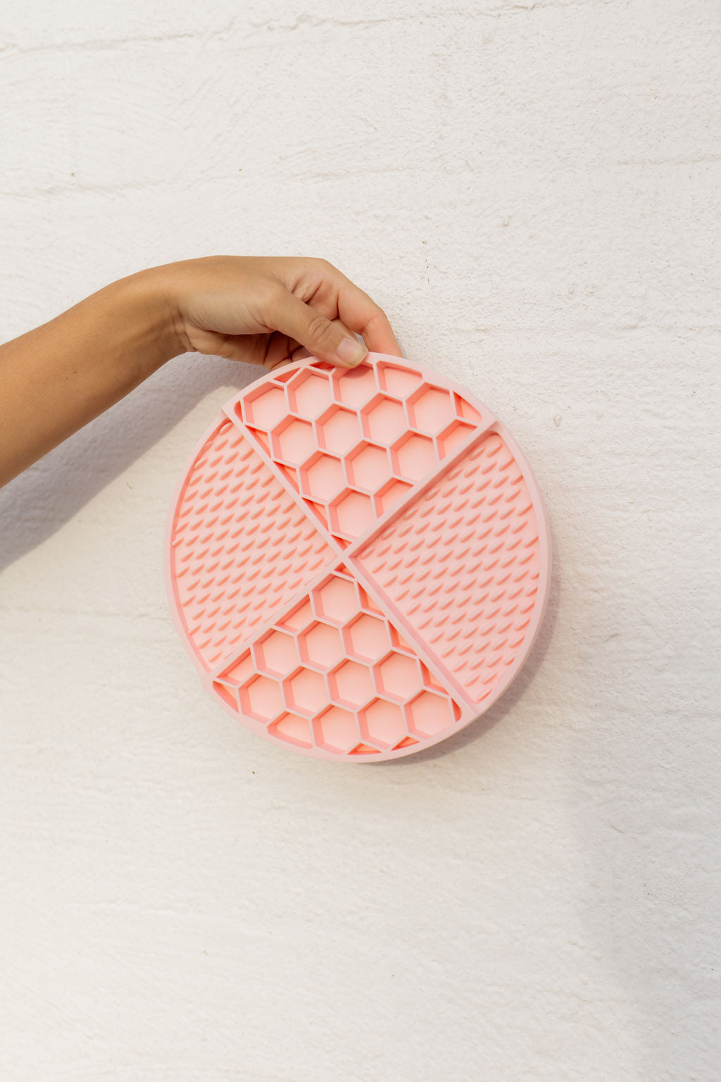 Pet Lick Mat