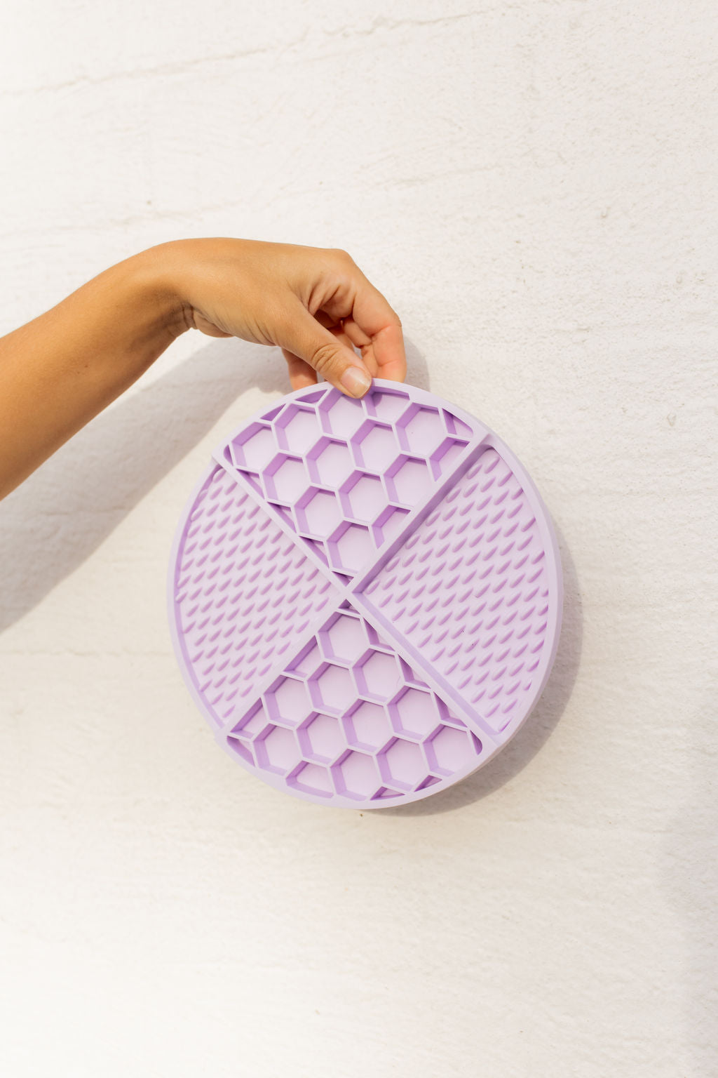 Pet Lick Mat