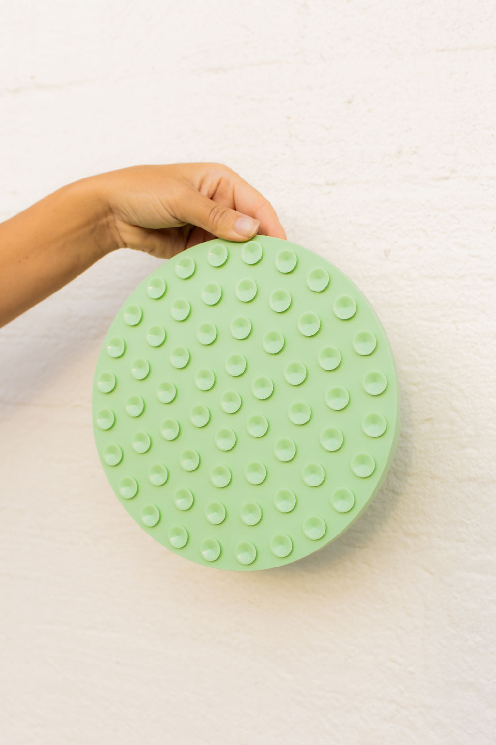Pet Lick Mat
