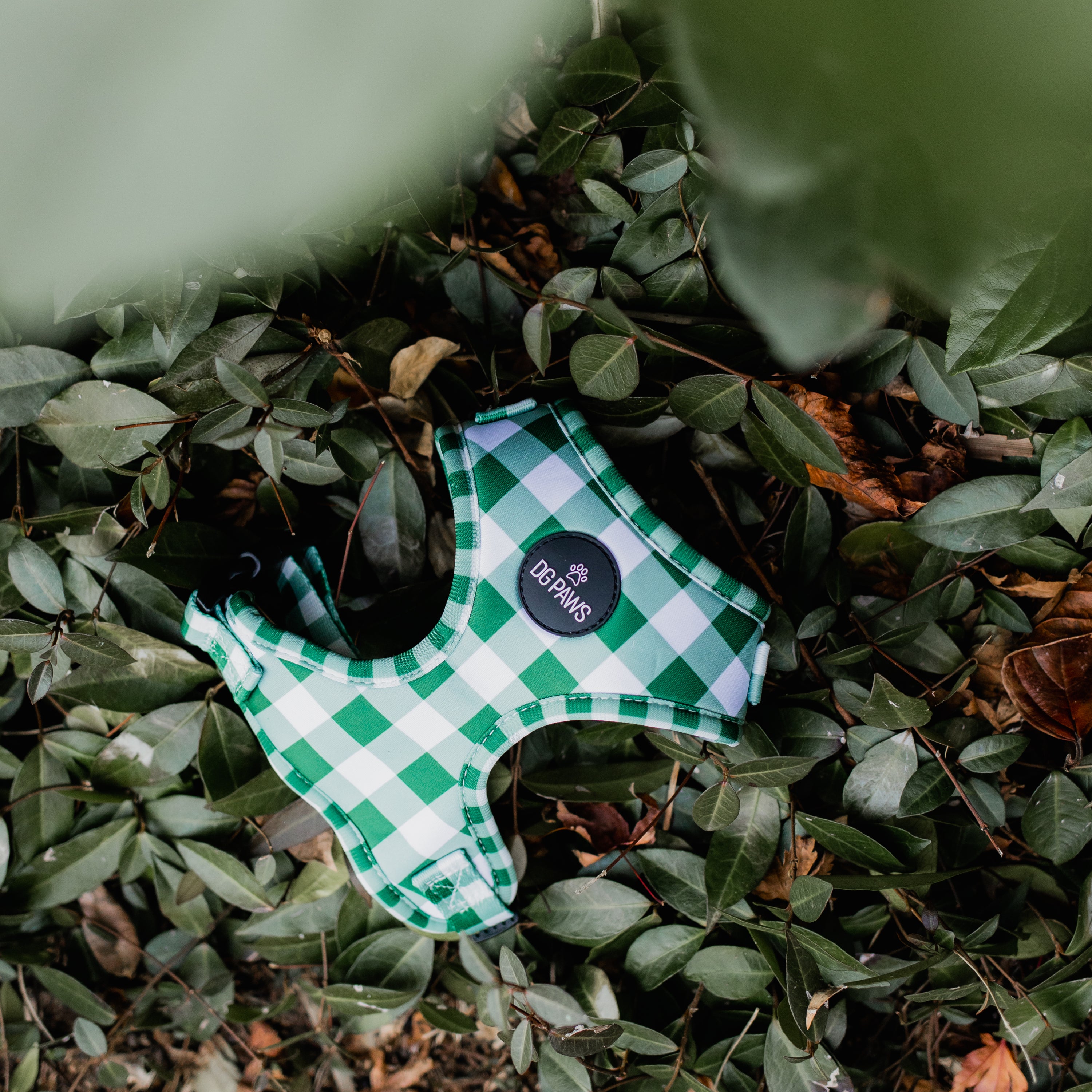Hunter Dog Harness