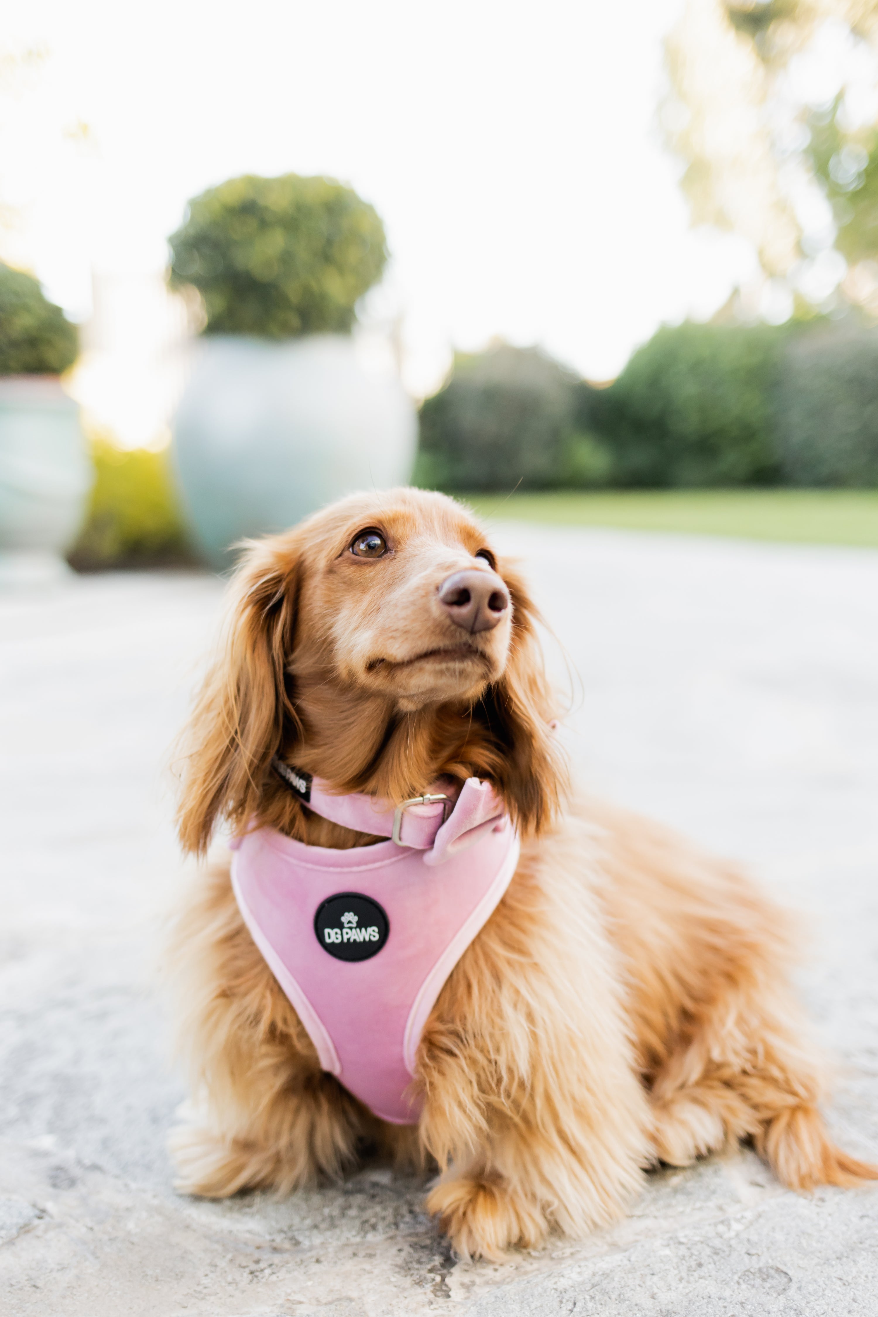 Pink Velvet Bundle