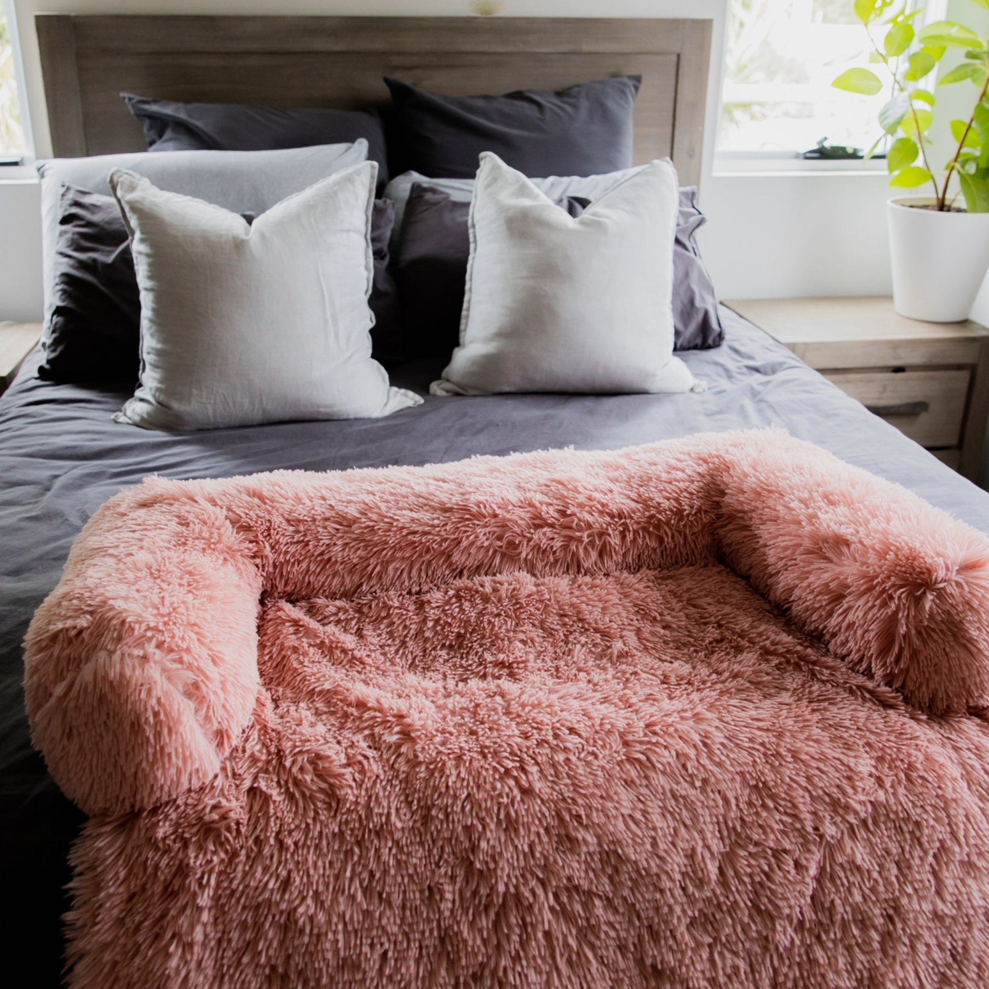 Calming Sofa Bed