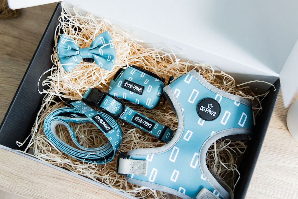 Hugo Bundle