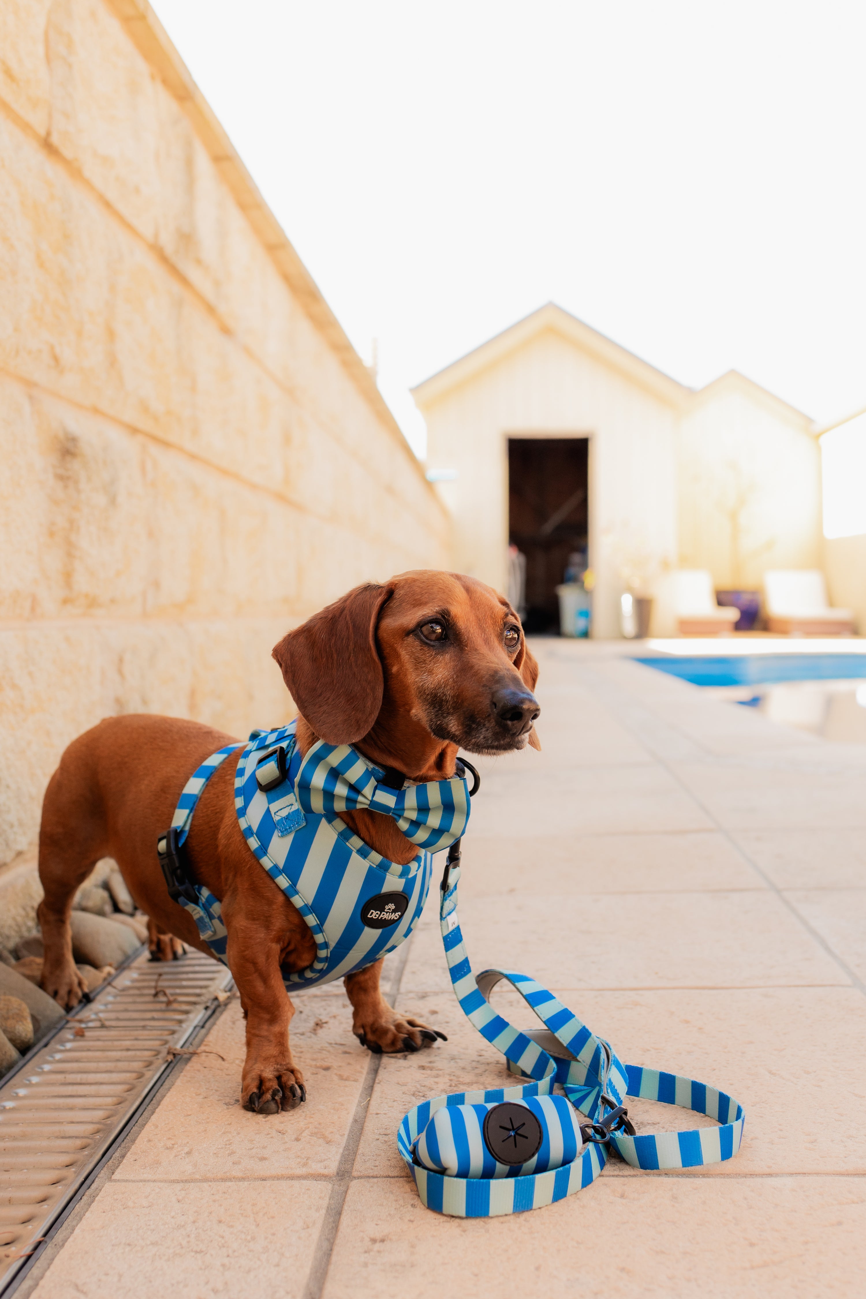 Coastal Stripe Poop Bag Holder