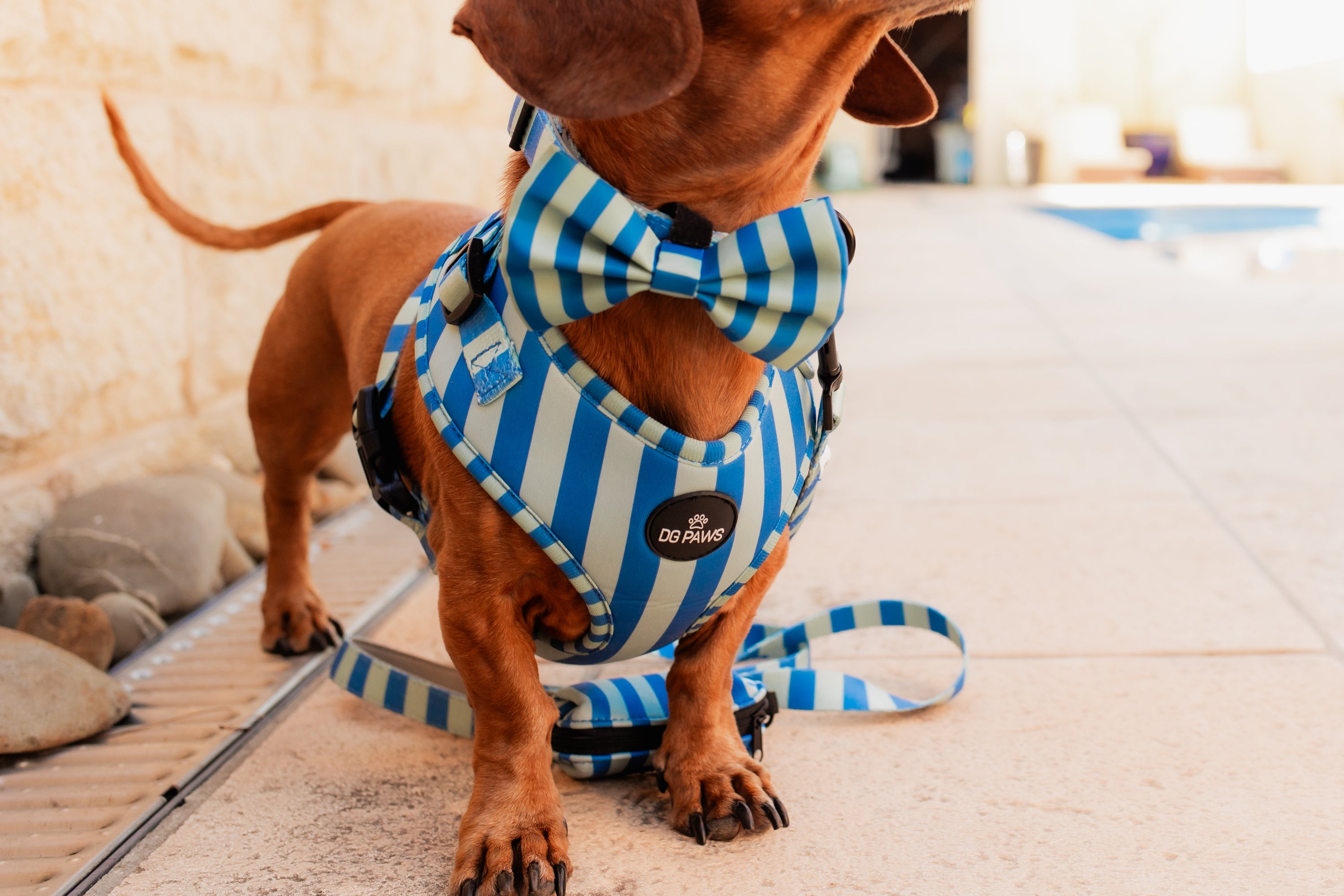Coastal Stripe Bow Tie