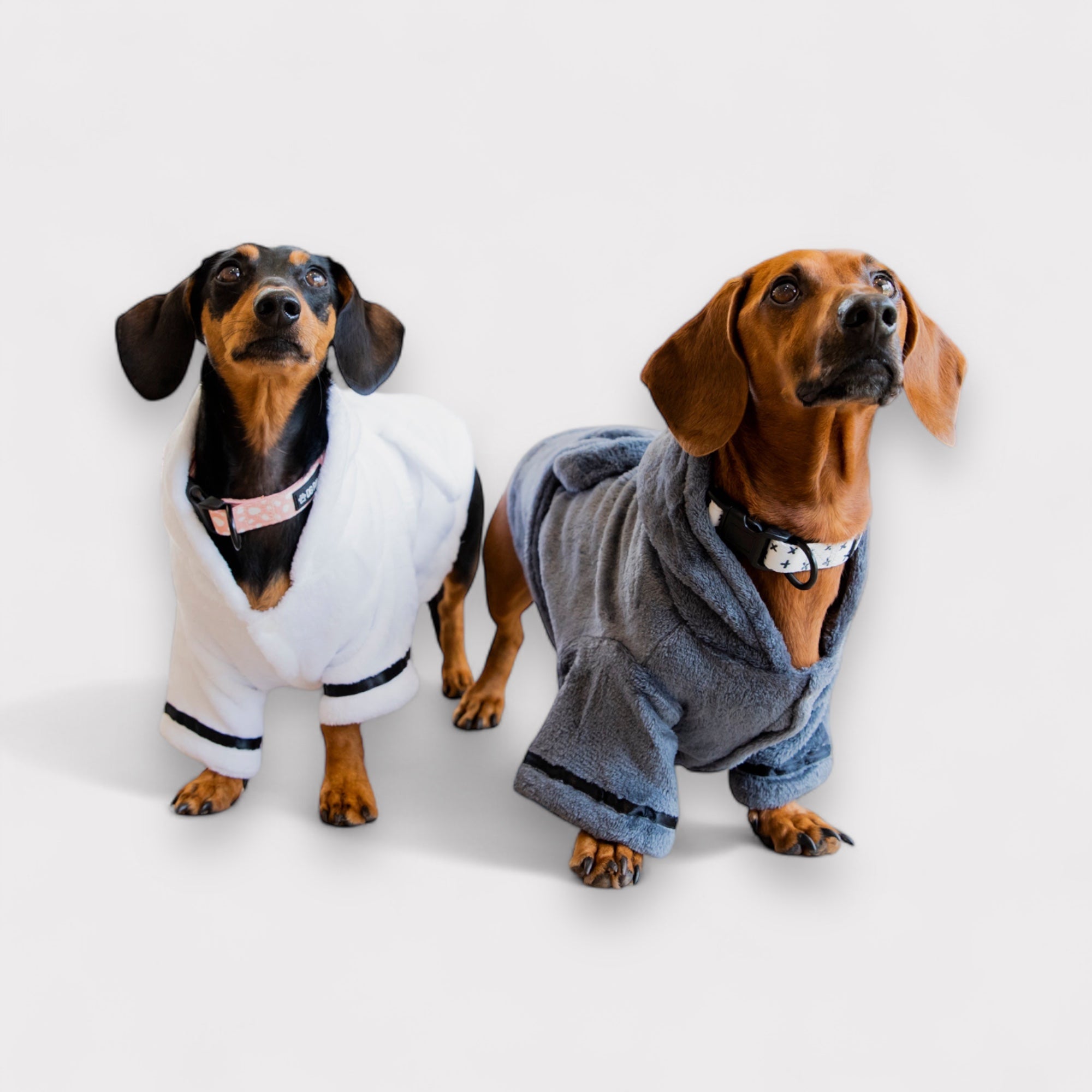 Dog Bathrobe