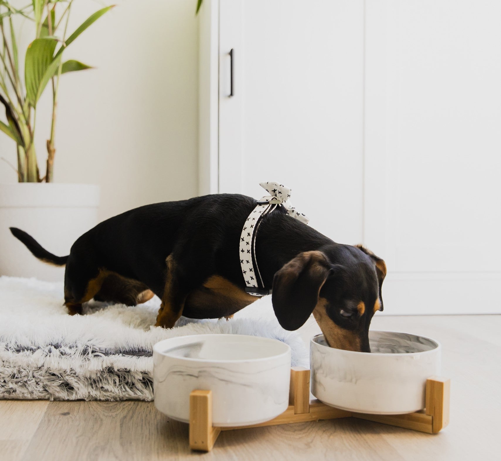 Double Ceramic Dog Bowl with Wooden Support