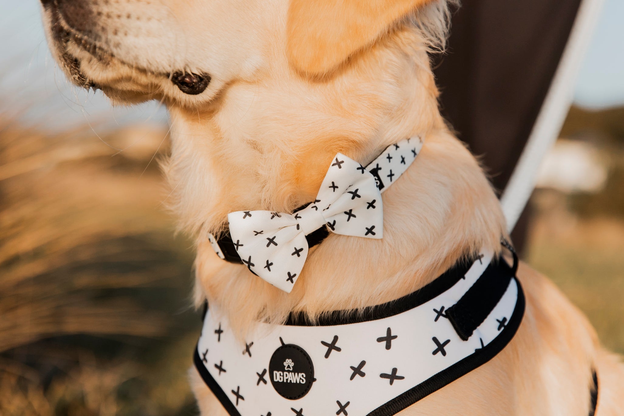 Scooby Bow Tie