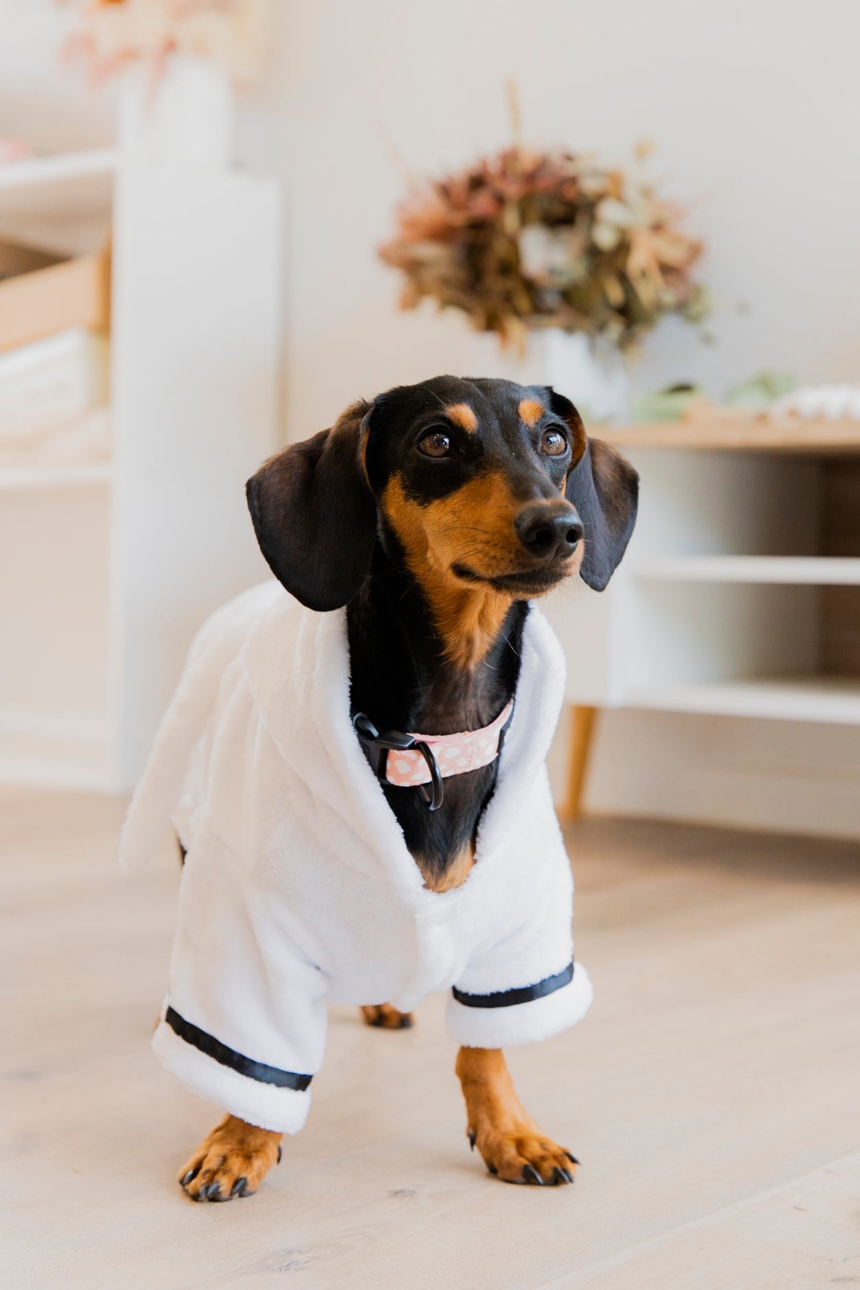 Dog Bathrobe
