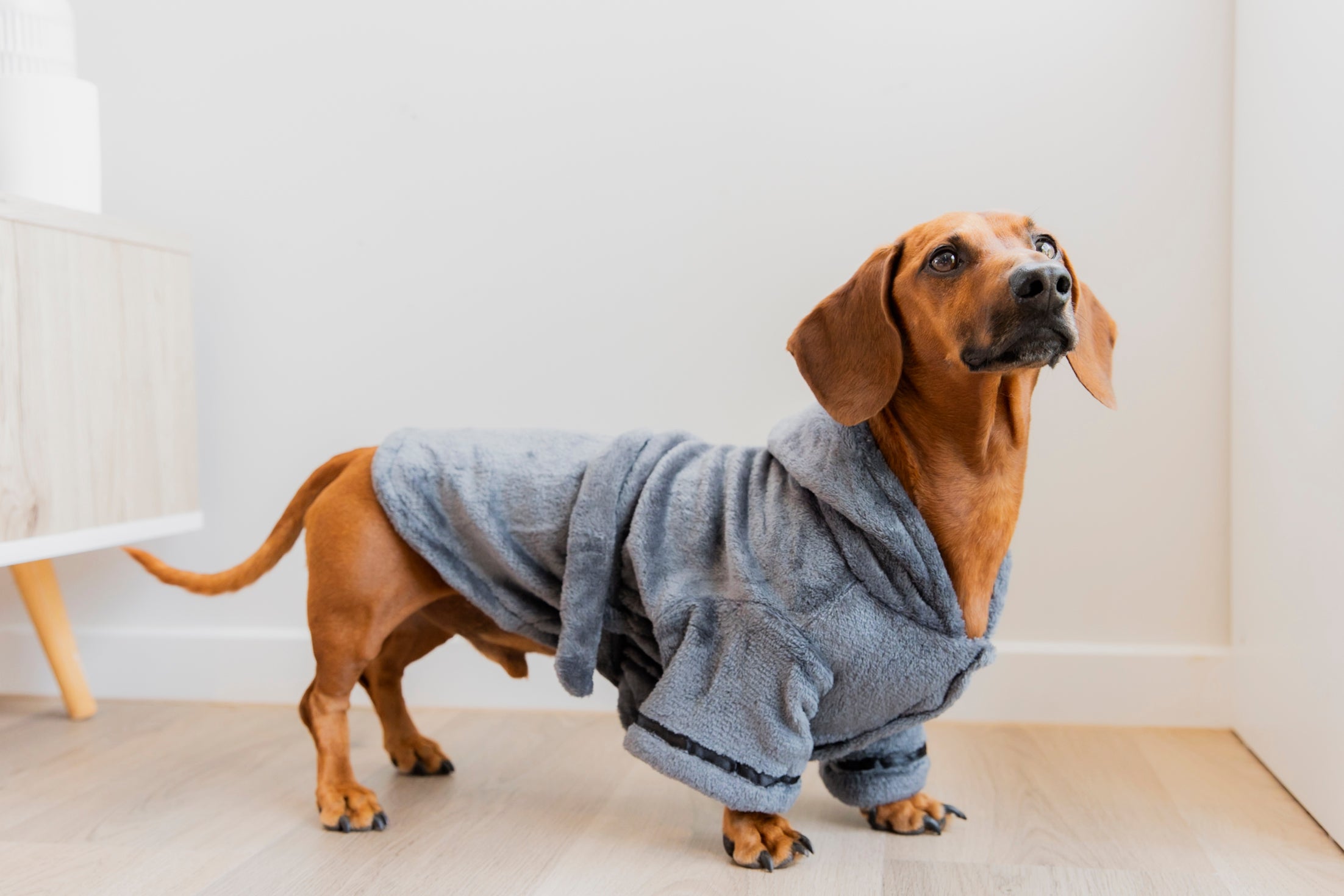 Dog Bathrobe