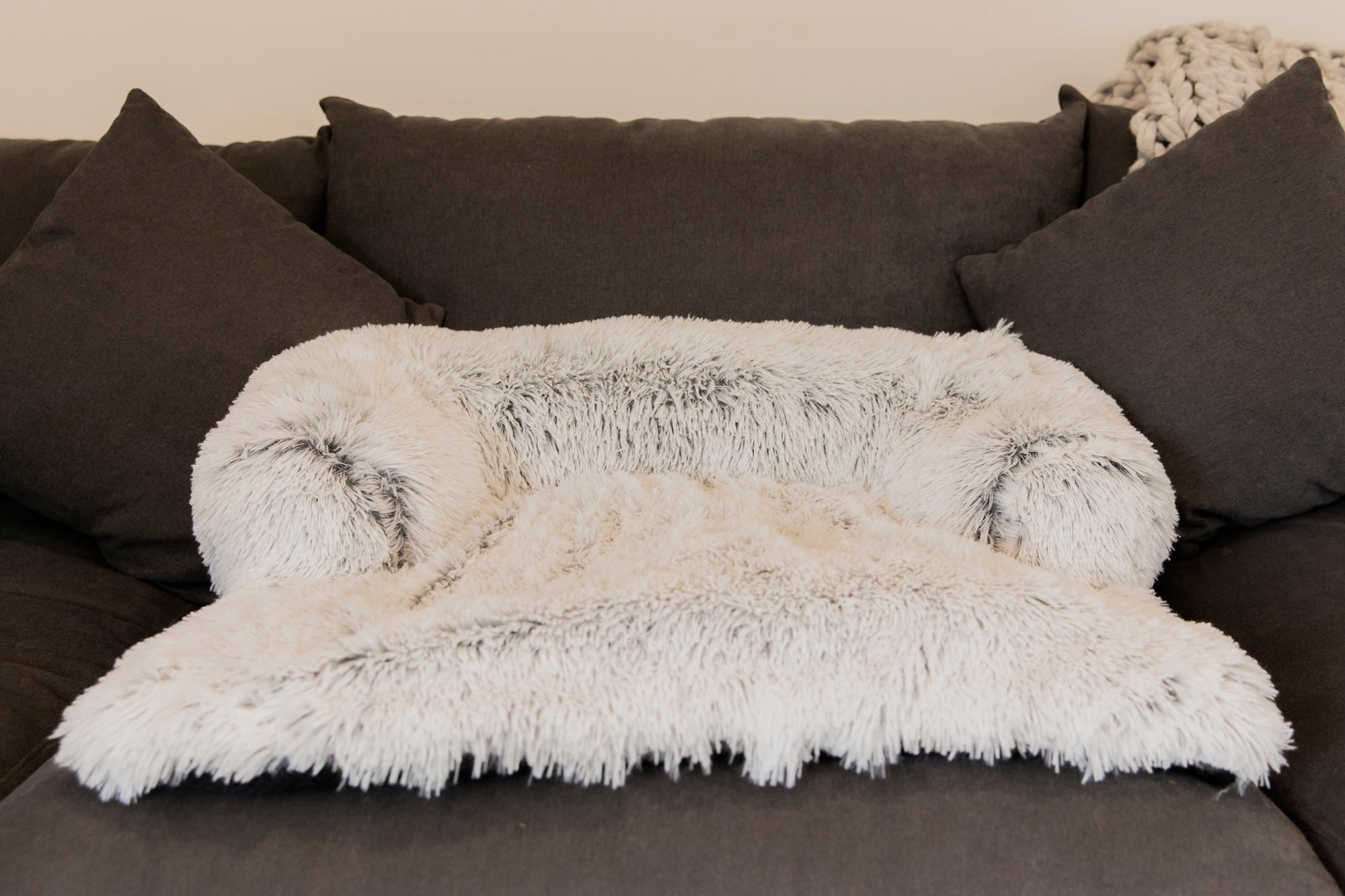 Calming Sofa Bed