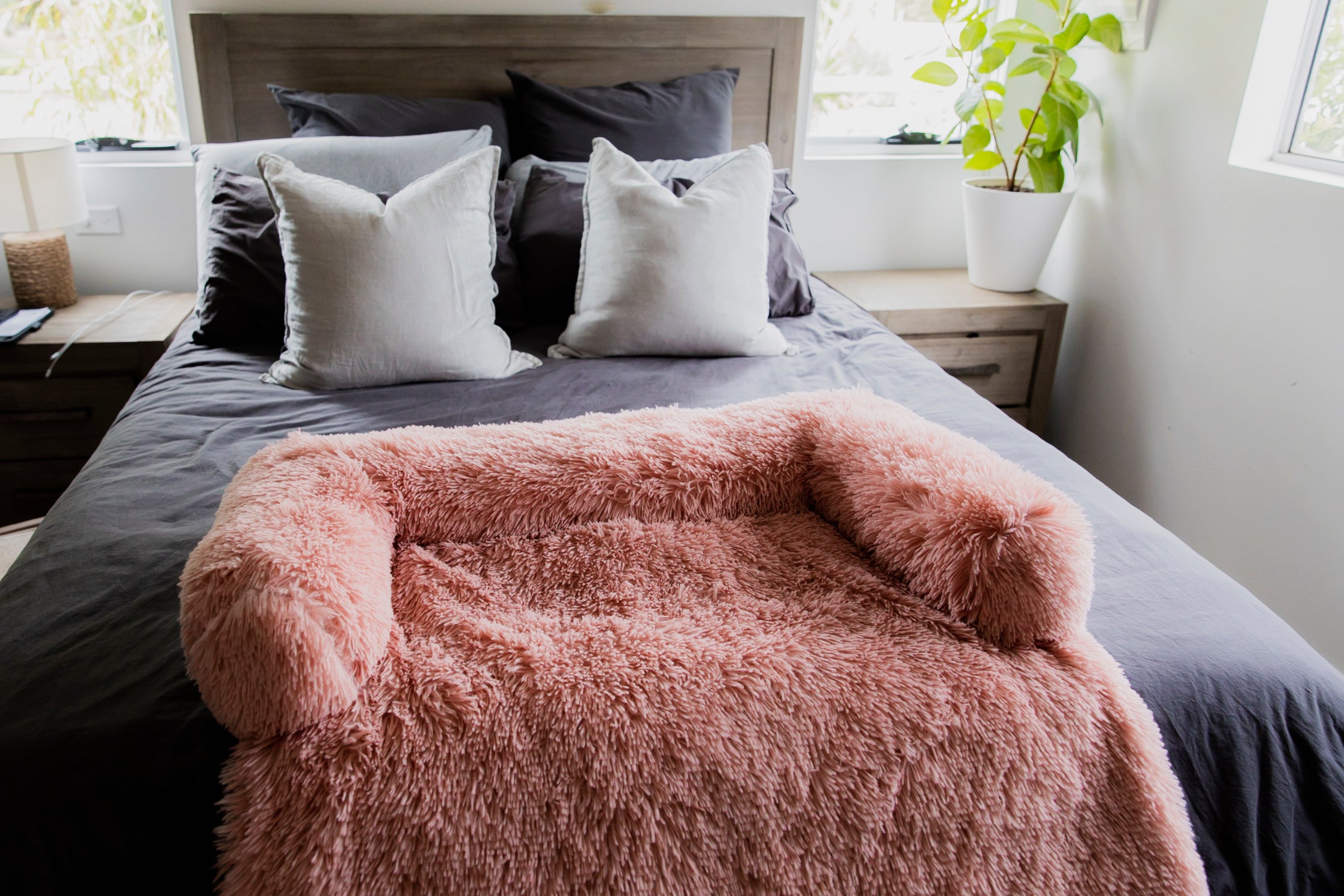 Calming Sofa Bed