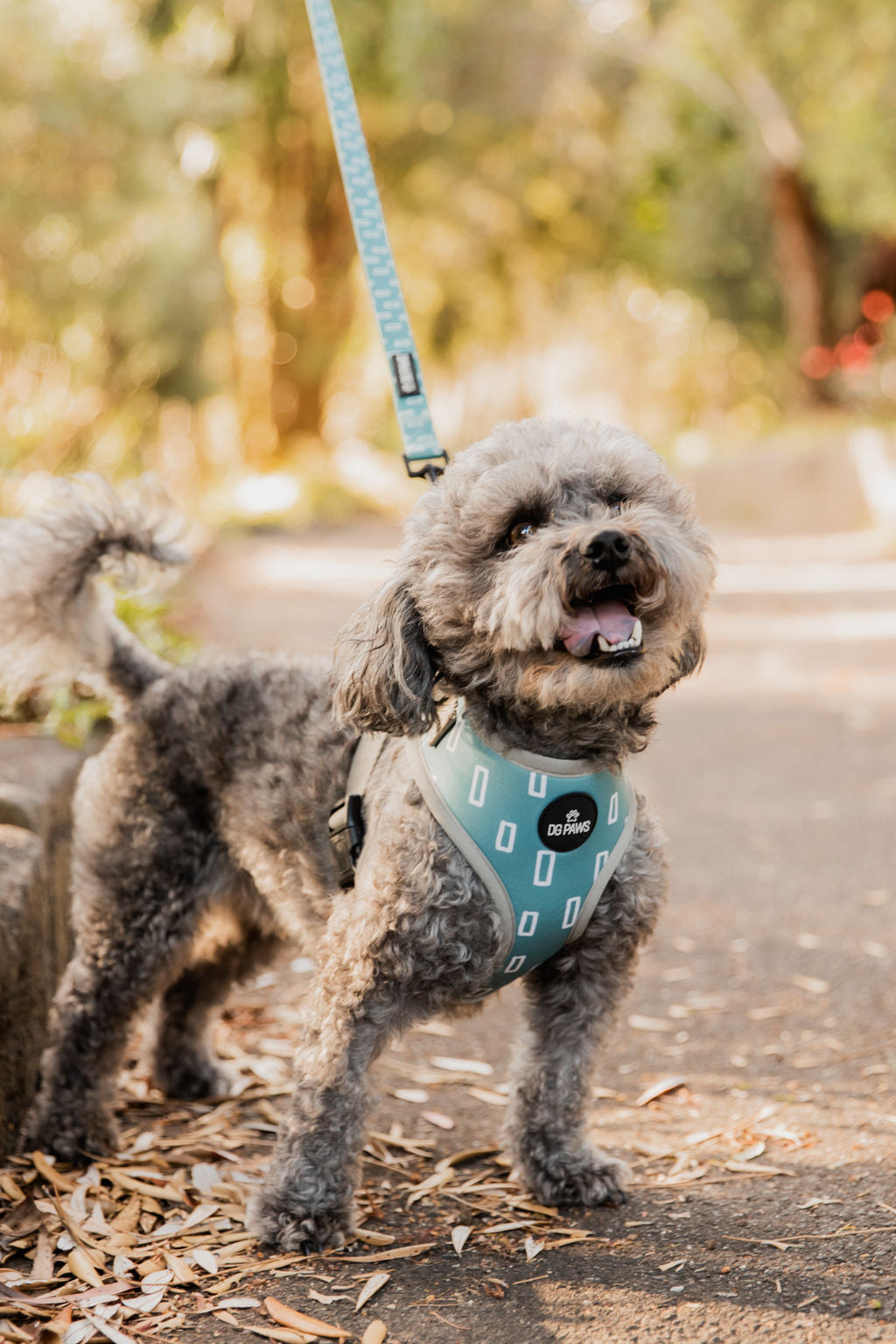 Hugo Dog Harness