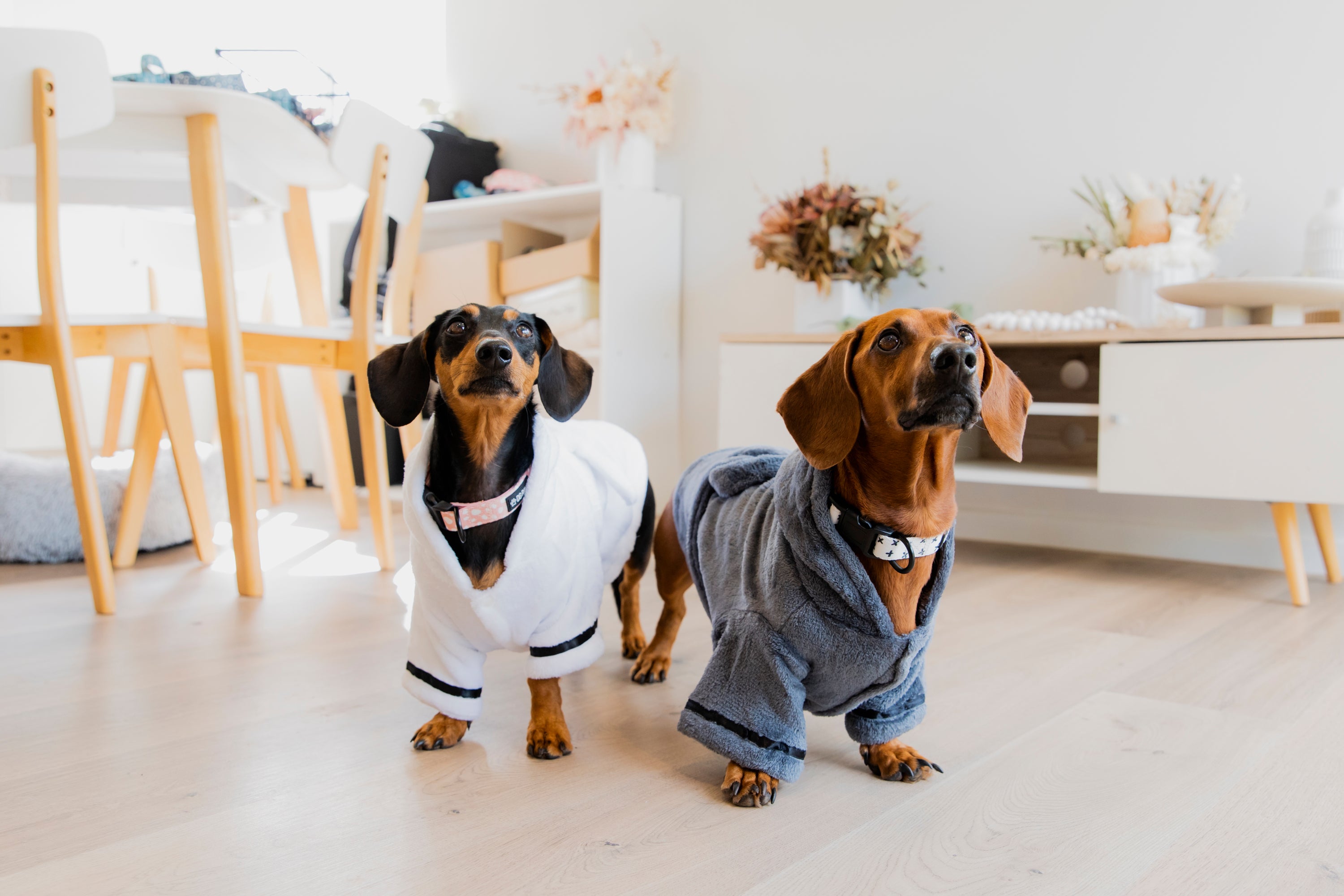 Dog Bathrobe